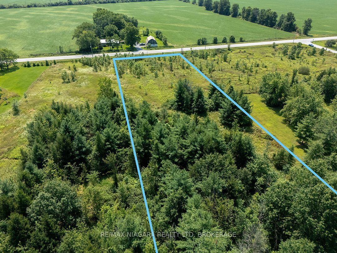NS Forks Road W, Wainfleet, ON L0S 1V0 photo 3