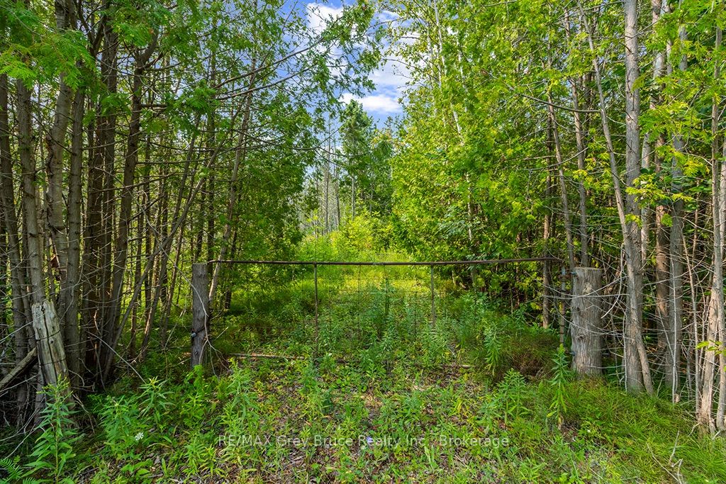 Part 2 PT LT 46 Highway 6, Northern Bruce Peninsula, ON N0H 2R0 photo 3