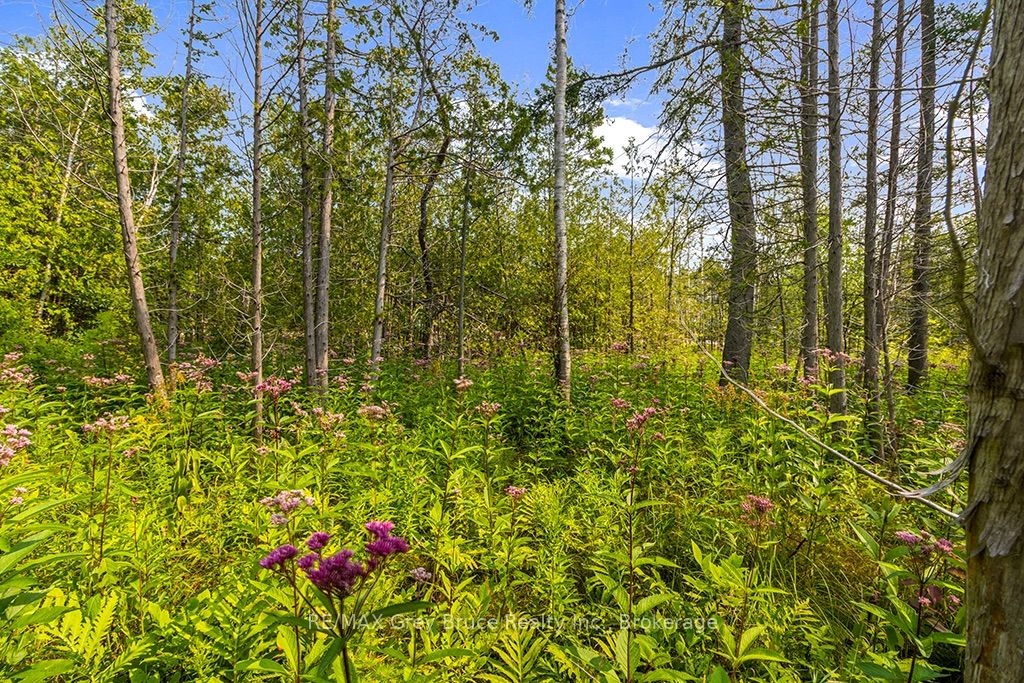 Part 2 PT LT 46 Highway 6, Northern Bruce Peninsula, ON N0H 2R0 photo 5