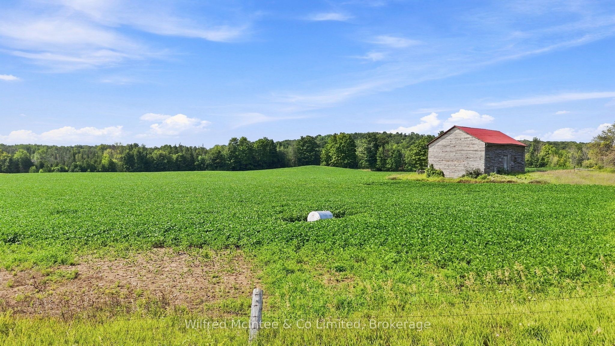 381612 CON 4 NDR Road, West Grey, ON N4N 3B9 photo 3