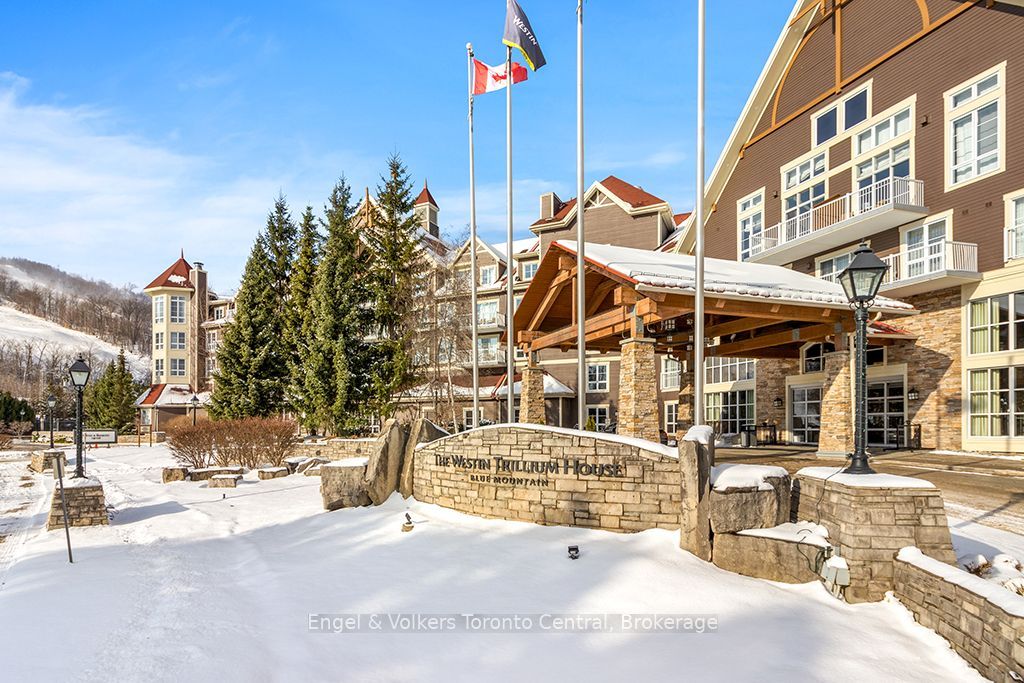 220 Gord Canning Drive 176, Blue Mountains, ON L9Y 0V2 photo 2