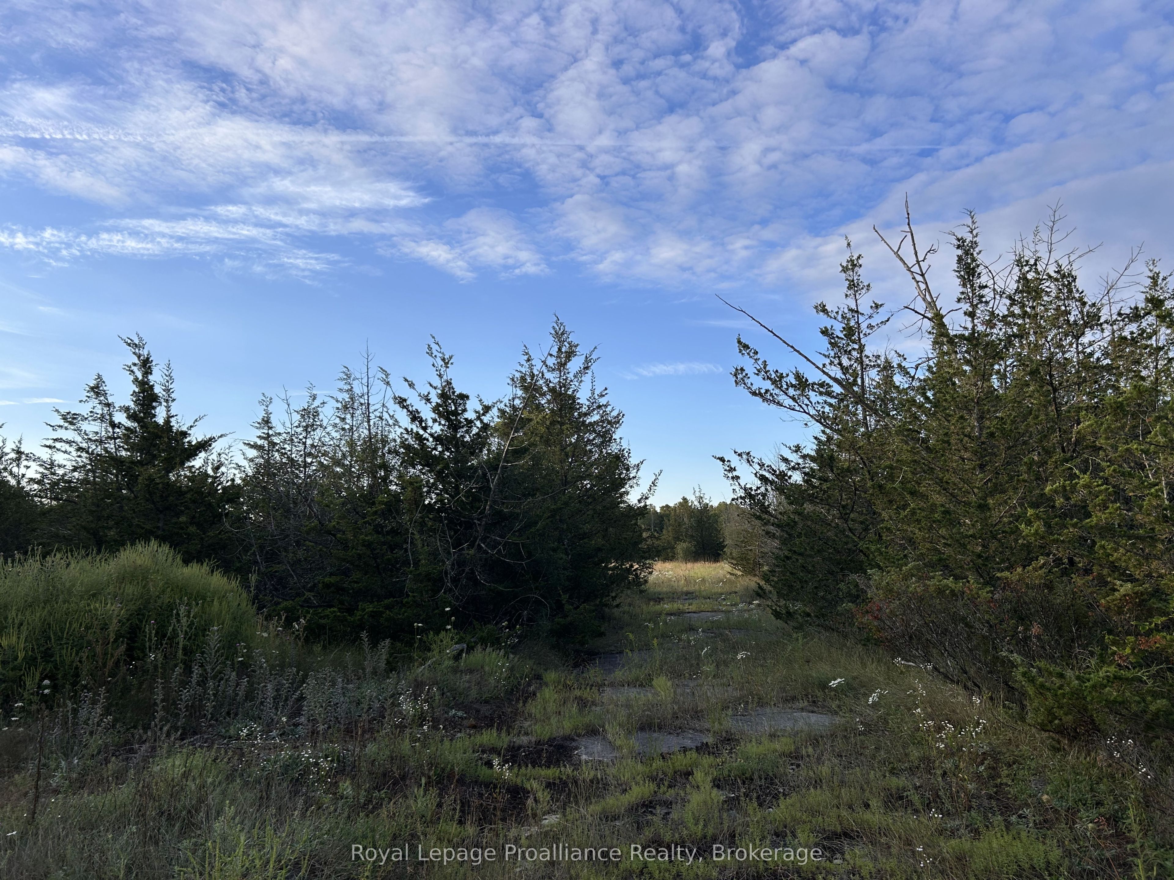 2916 Shannon Road, Tyendinaga, ON K0K 3A0 photo 3