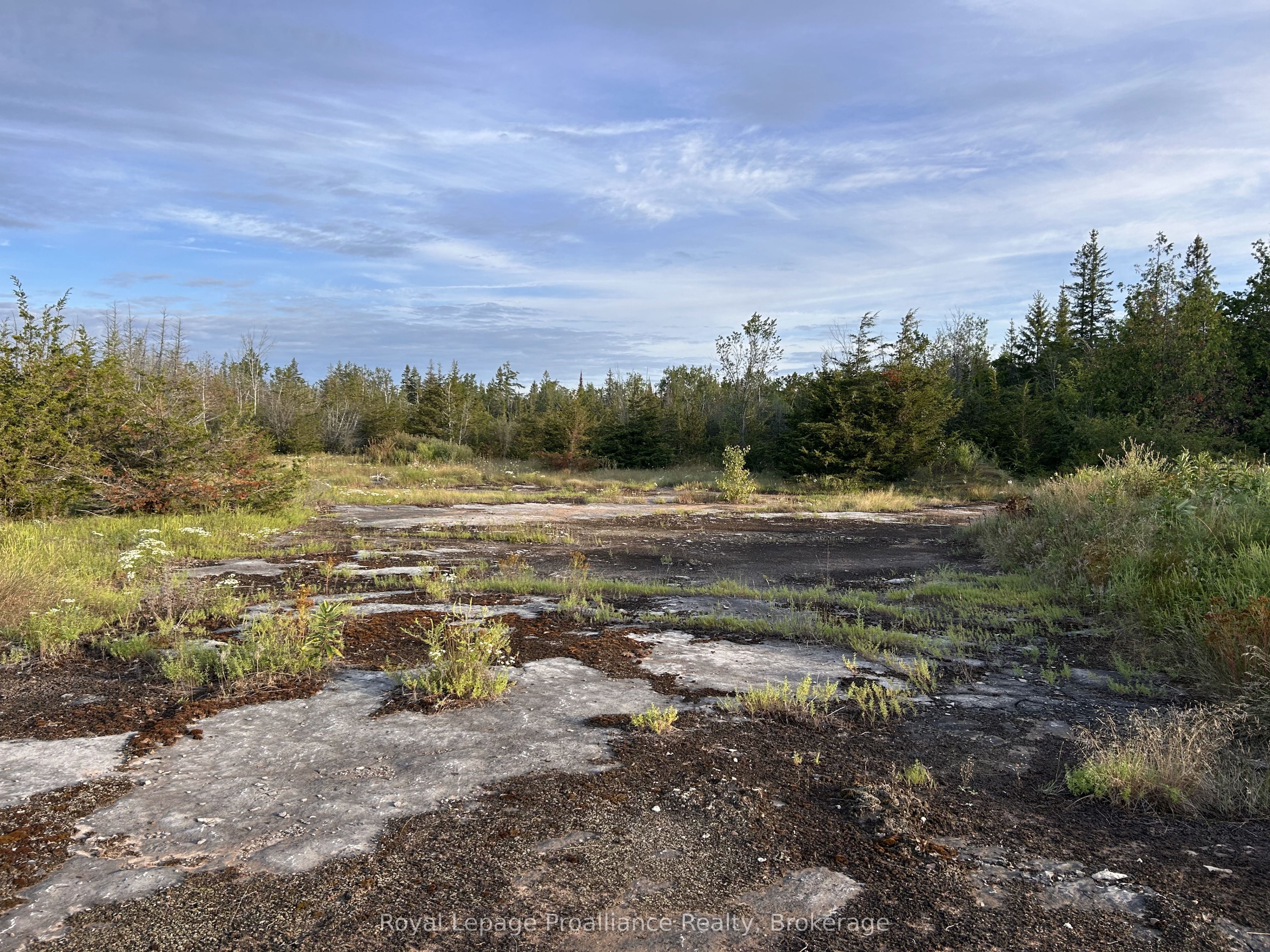 2916 Shannon Road, Tyendinaga, ON K0K 3A0 photo 4