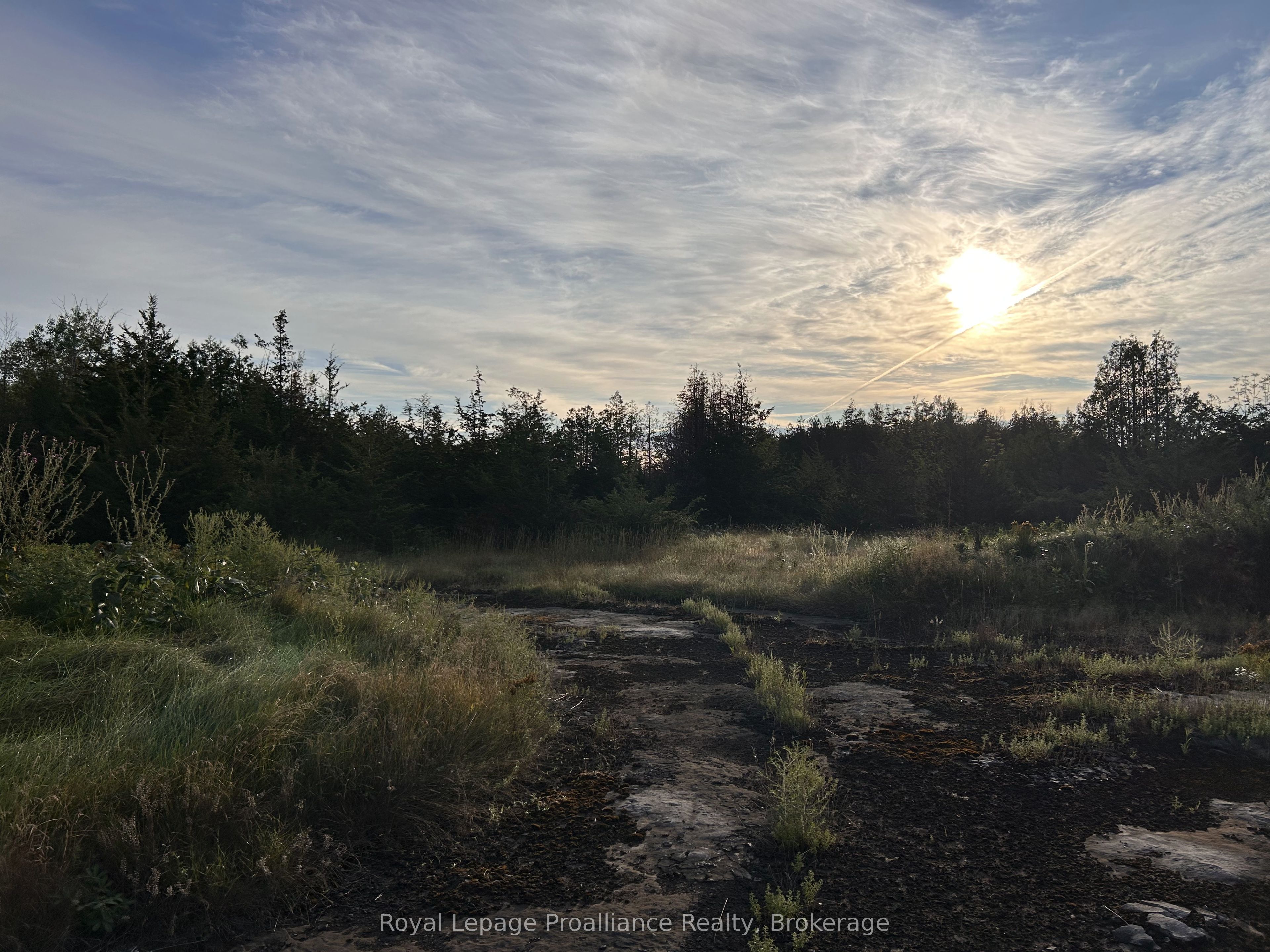 2916 Shannon Road, Tyendinaga, ON K0K 3A0 photo 5
