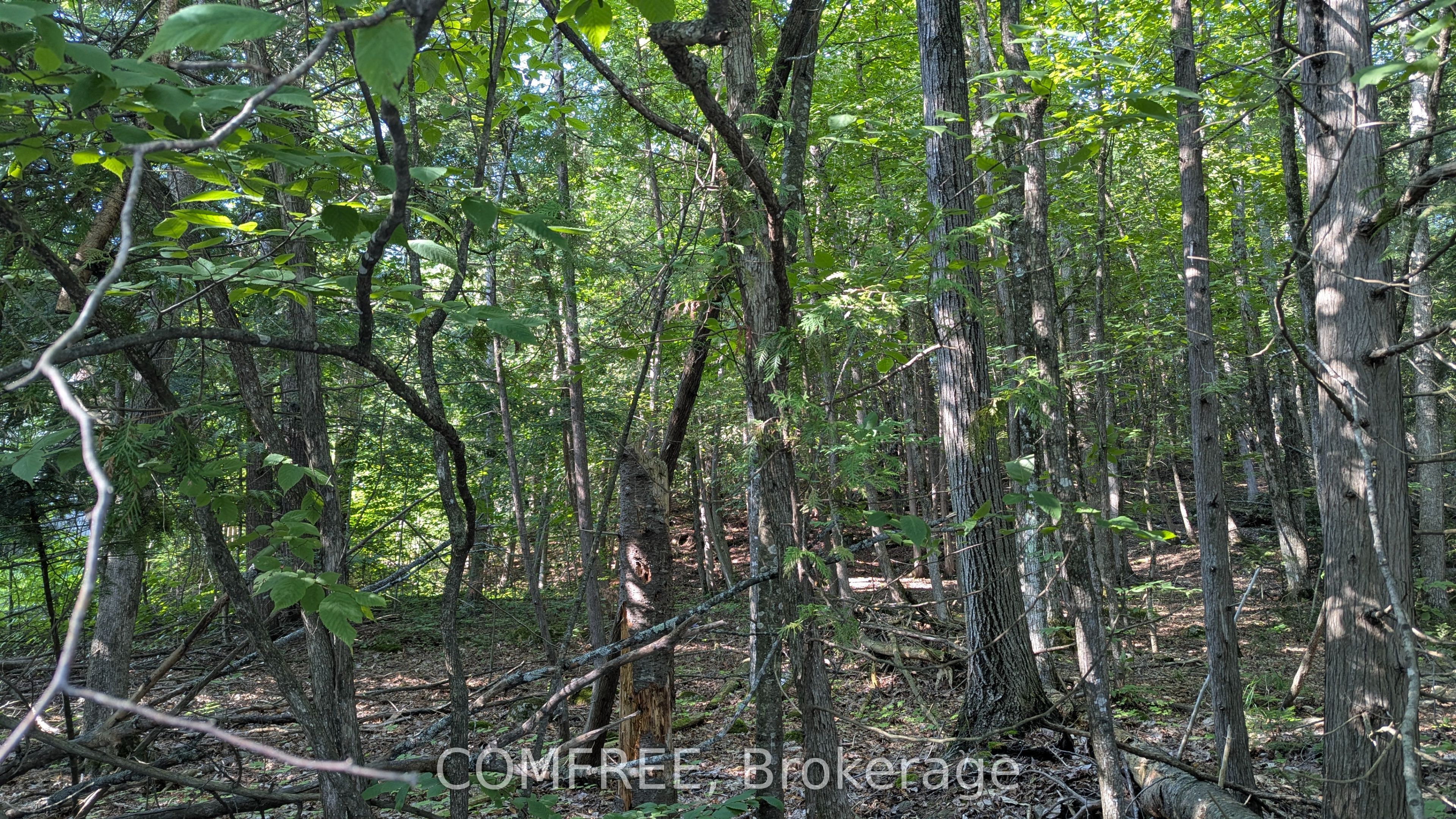 4853 Opeongo Road, Constance Bay - Dunrobin - Kilmaurs - Woodlawn, ON K0A 3M0