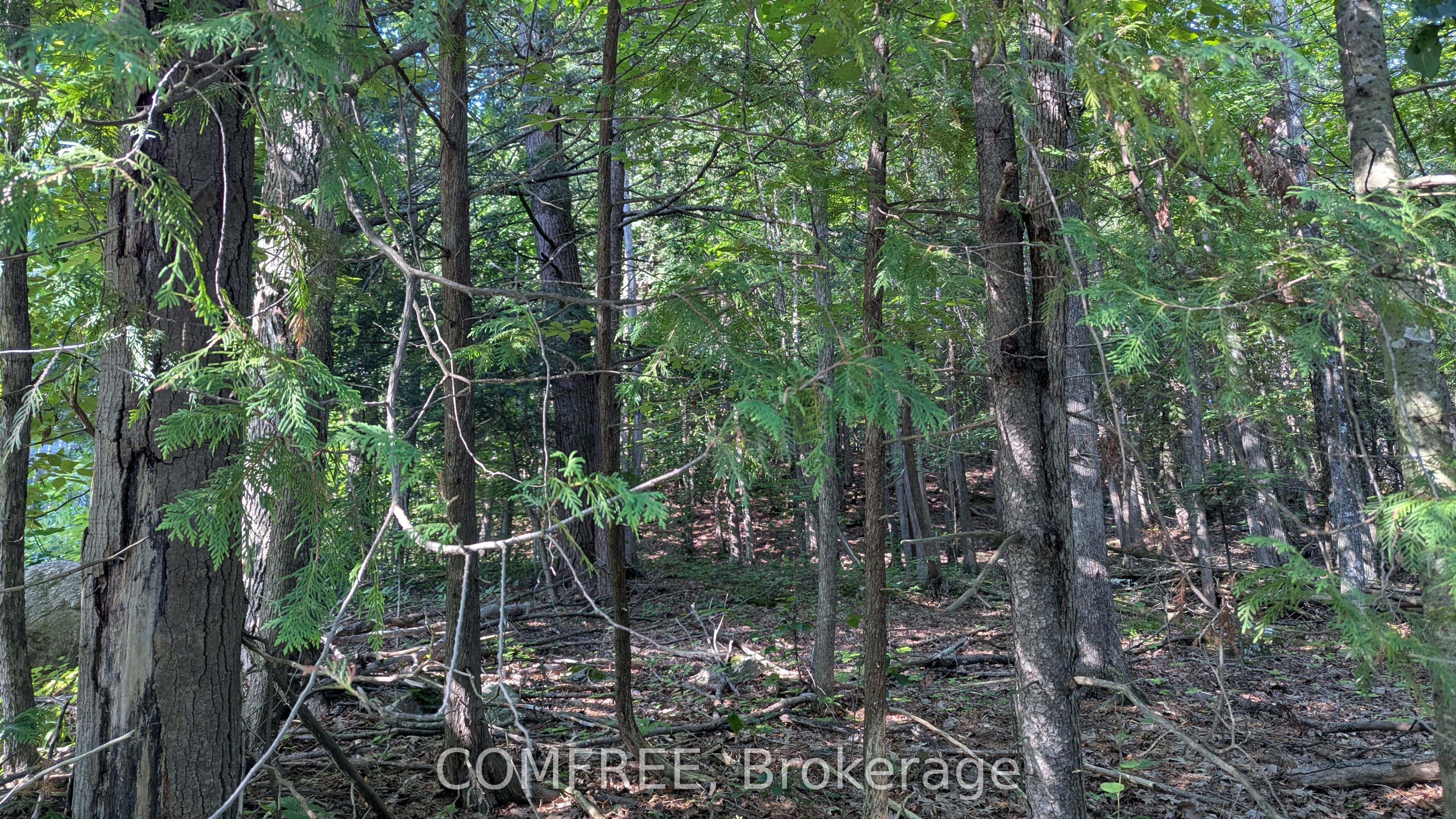 4853 Opeongo Road, Constance Bay - Dunrobin - Kilmaurs - Woodlawn, ON K0A 3M0 photo 2