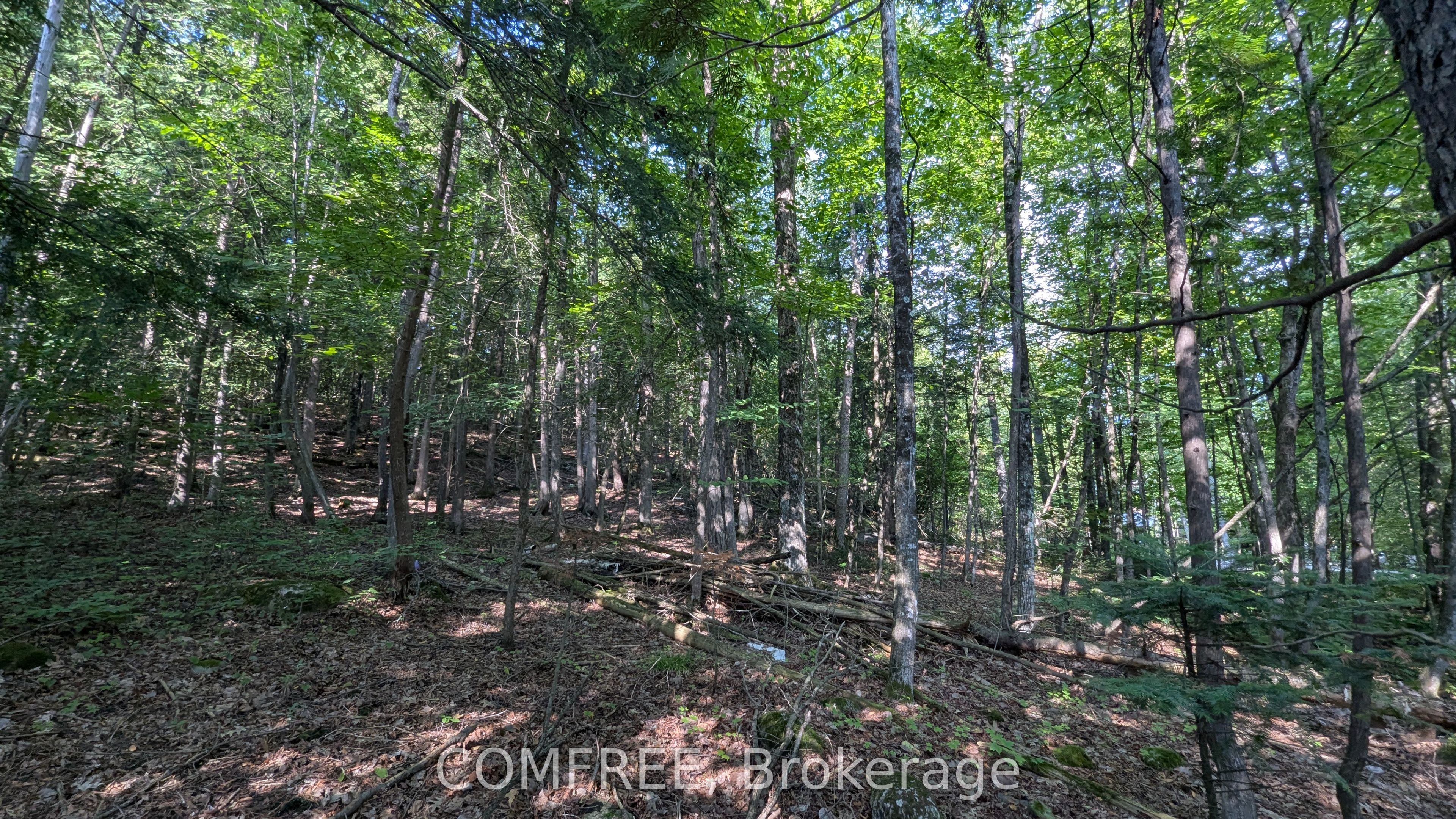 4853 Opeongo Road, Constance Bay - Dunrobin - Kilmaurs - Woodlawn, ON K0A 3M0 photo 3