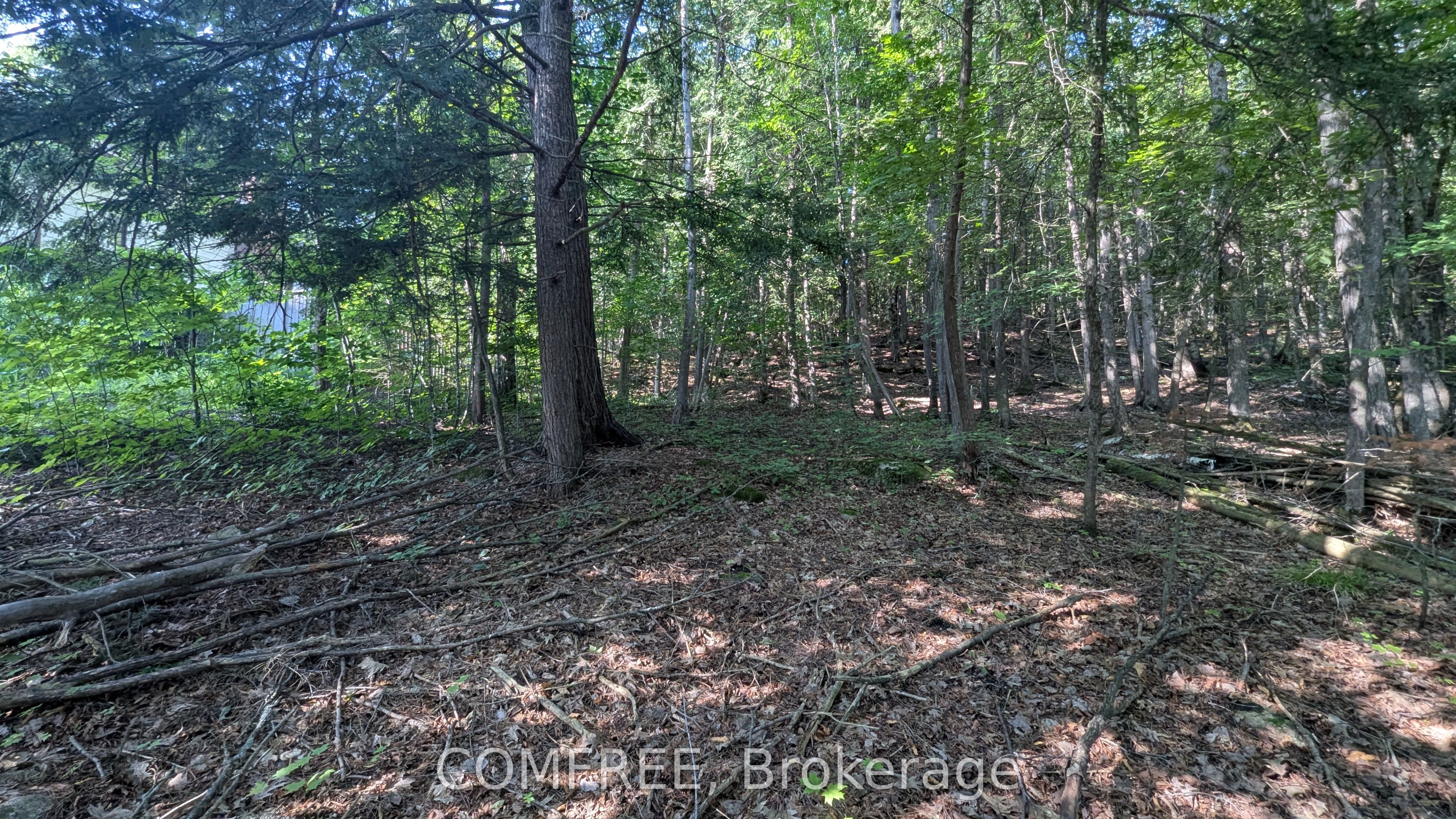 4853 Opeongo Road, Constance Bay - Dunrobin - Kilmaurs - Woodlawn, ON K0A 3M0 photo 4