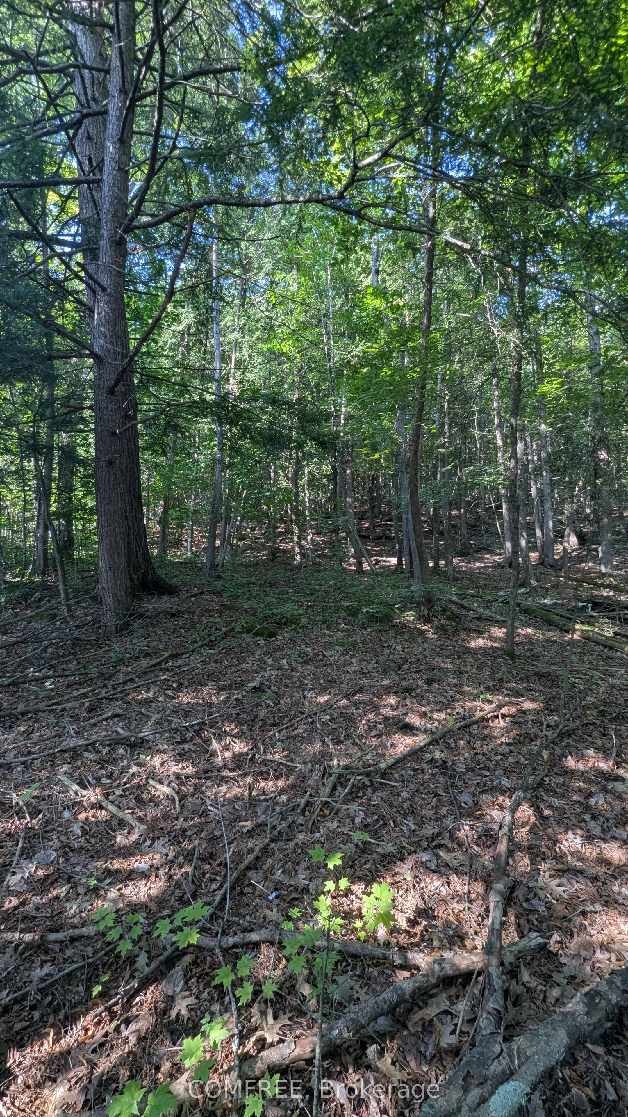 4853 Opeongo Road, Constance Bay - Dunrobin - Kilmaurs - Woodlawn, ON K0A 3M0 photo 5