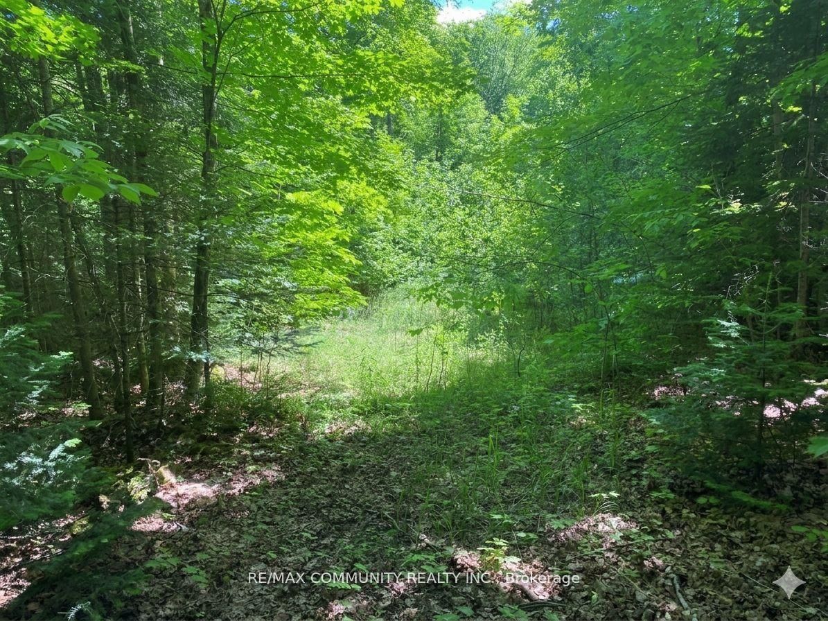 12 CON Concession, Highlands East, ON K0L 3C0 photo 3