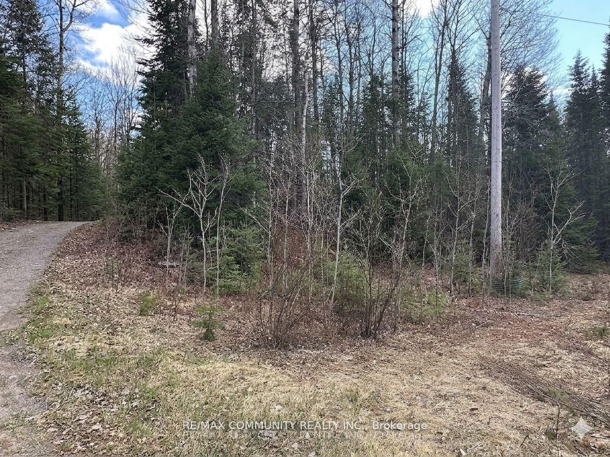 12 CON Concession, Highlands East, ON K0L 3C0 photo 4