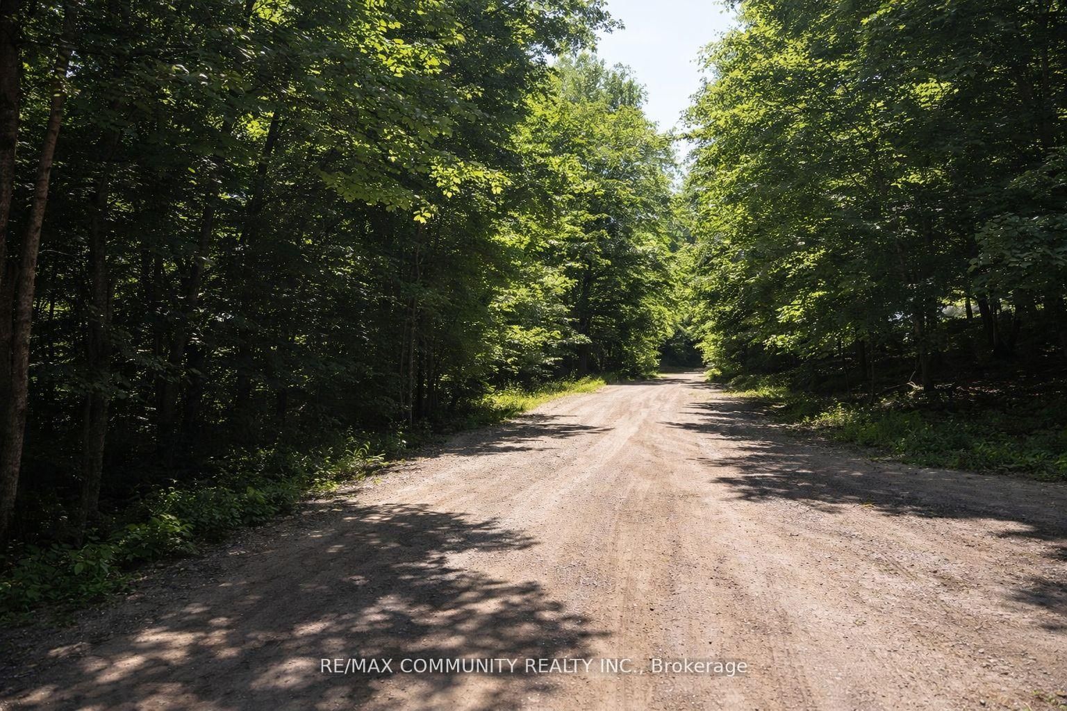 12 CON Concession, Highlands East, ON K0L 3C0 photo 5