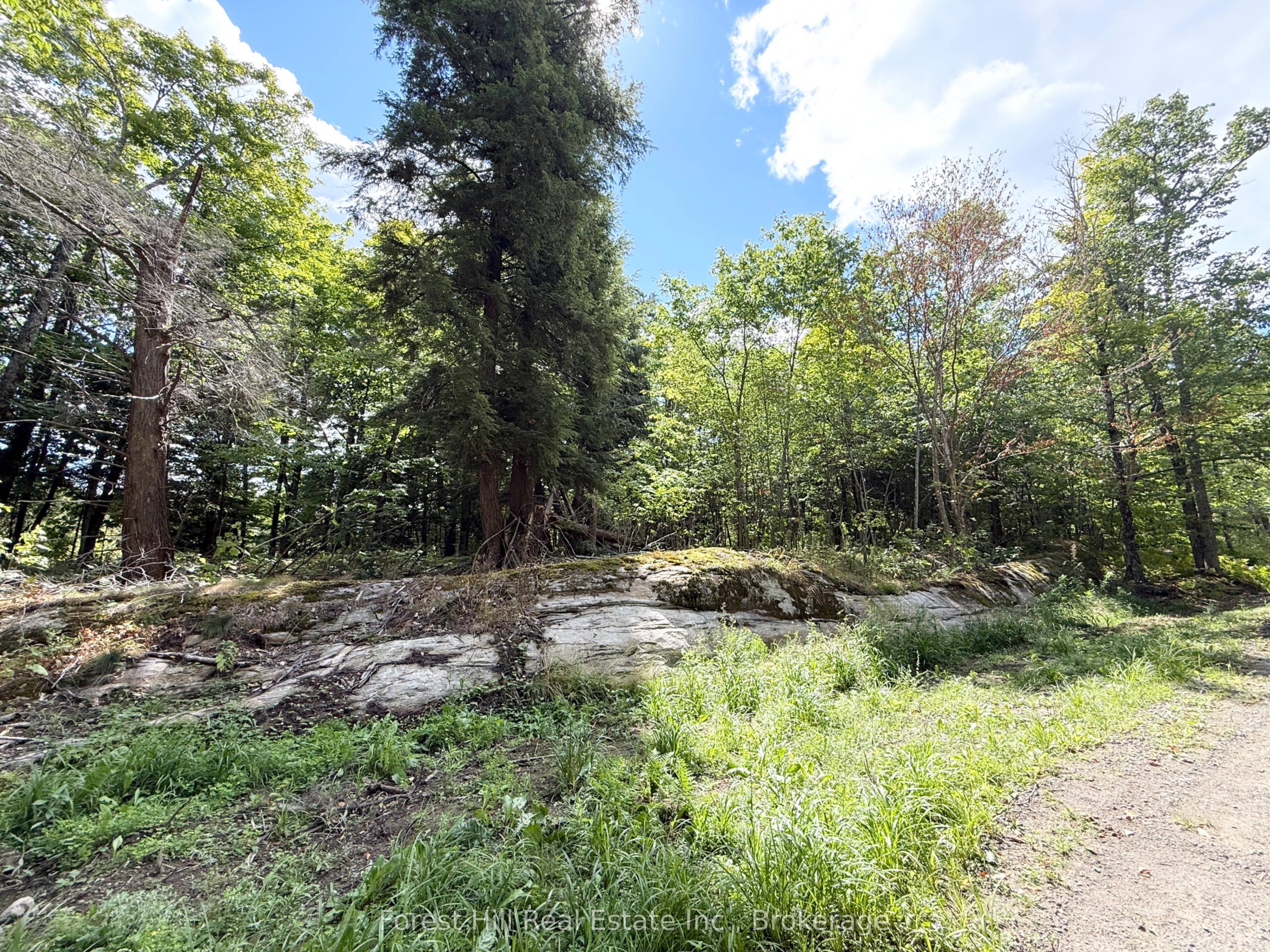 10415 522 Highway, Parry Sound Remote Area, ON P0H 1A0 photo 3