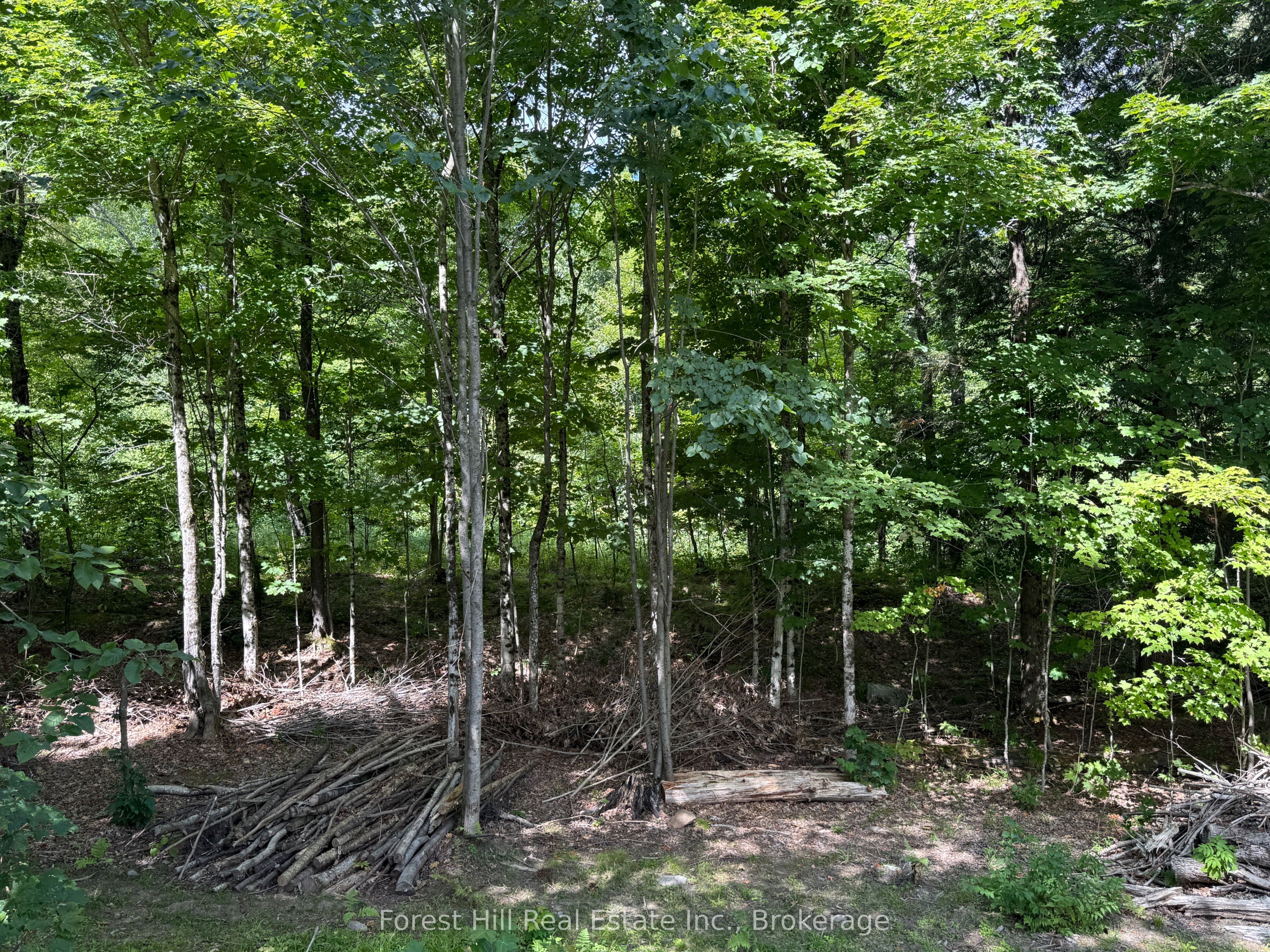10415 522 Highway, Parry Sound Remote Area, ON P0H 1A0 photo 5