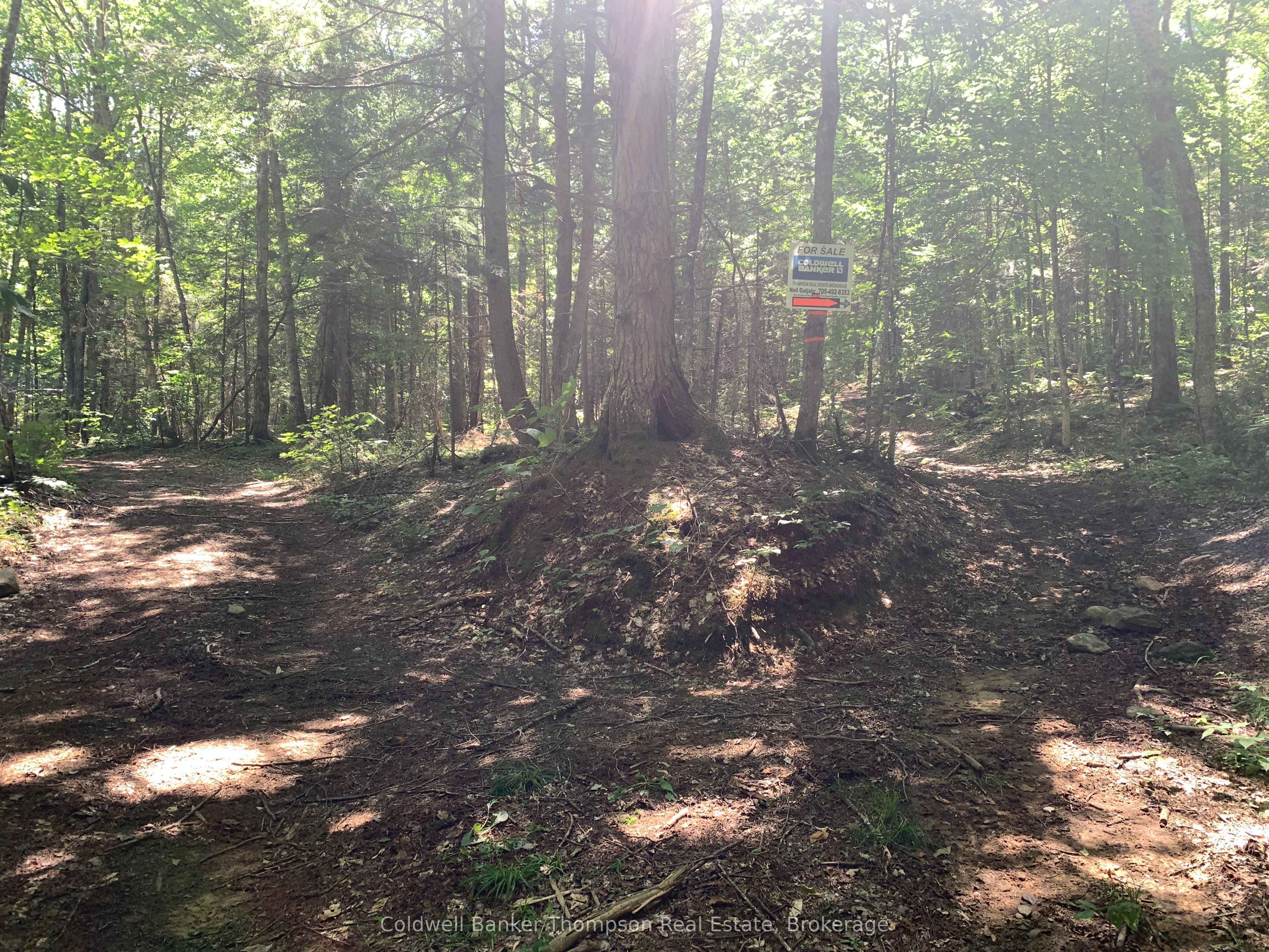 LOT 12 CON 2 n/a Trail, Lake of Bays, ON P1L 1X3 photo 3