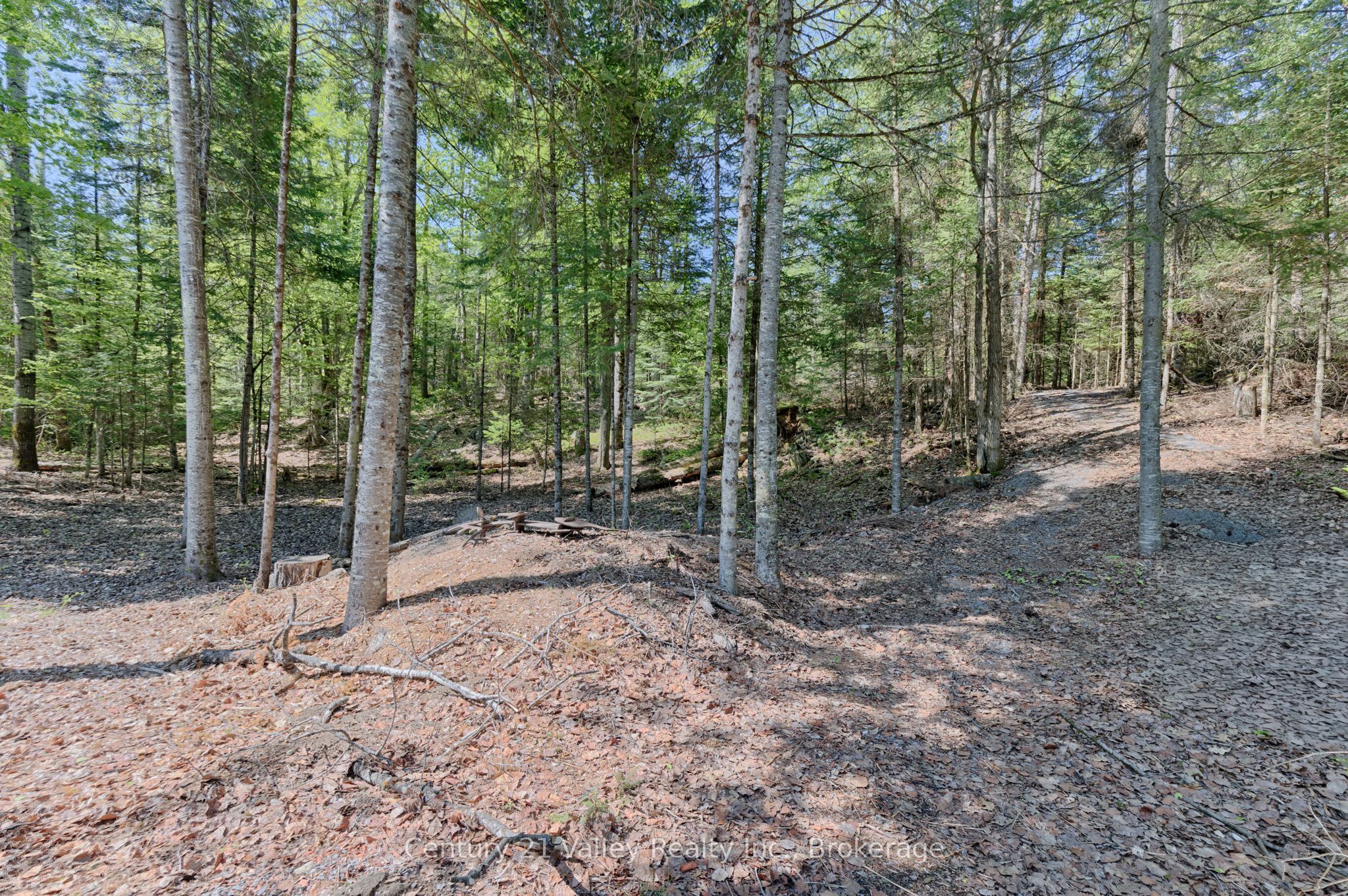 593 Inglis Road, Greater Madawaska, ON K7V 3Z9 photo 4