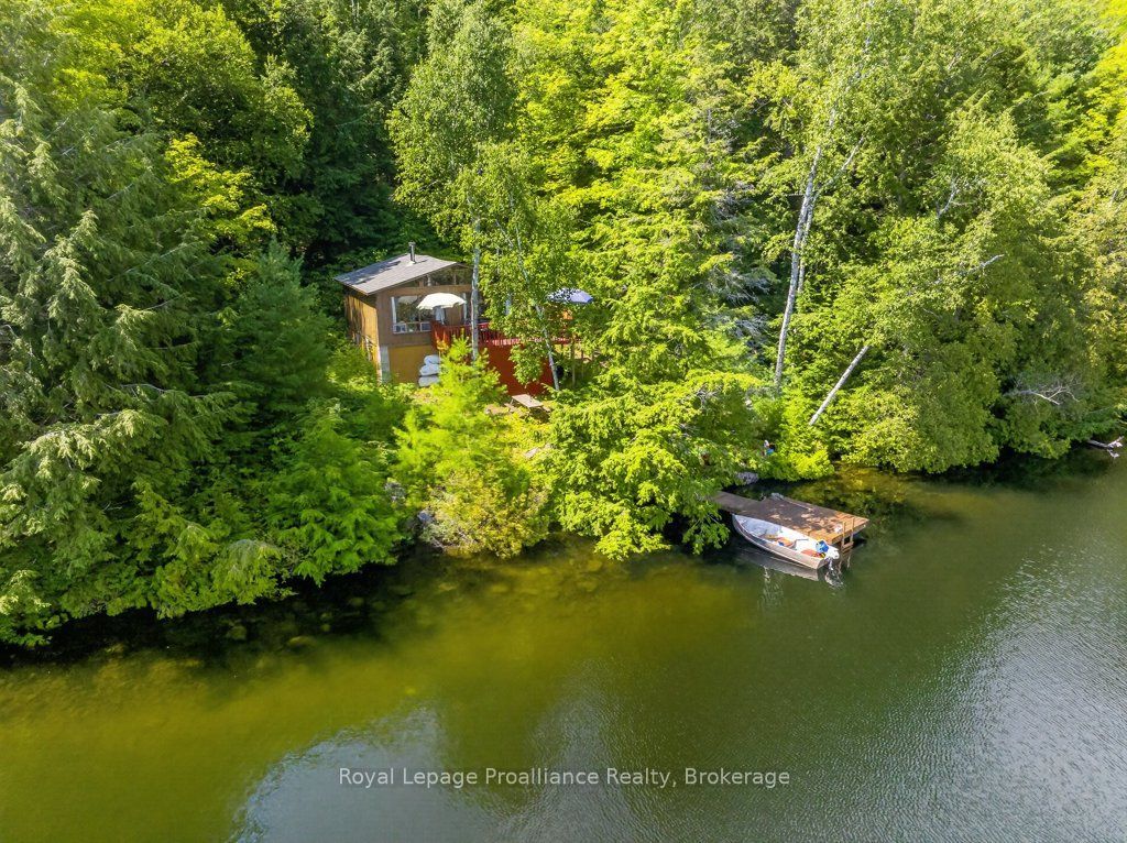 3310 Shabomeka Lake, Frontenac, ON K0H 1K0 photo 4
