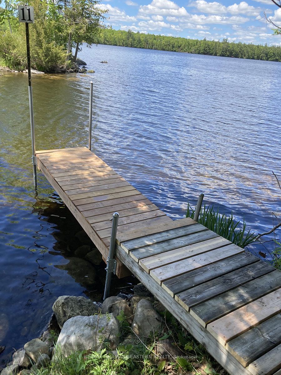 11 Maplewood Court, Trent Lakes, ON K0L 1J0 photo 3