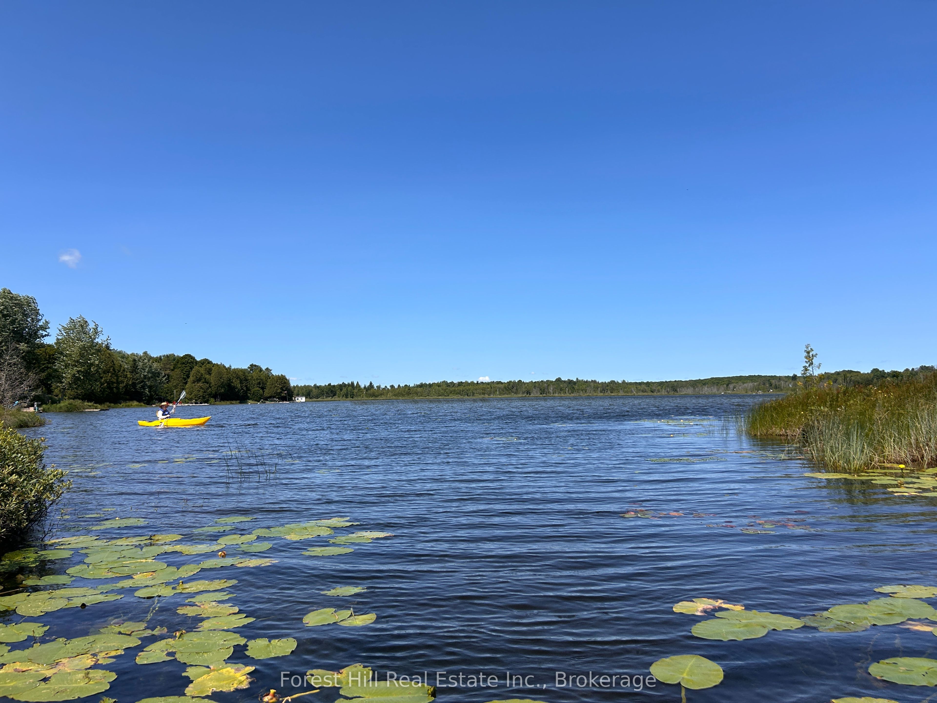 523583 12 Concession, West Grey, ON N0C 1H0 photo 4