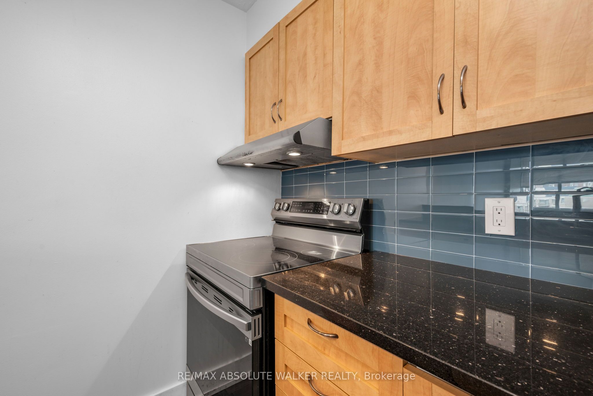 154 Nelson Street 902, Lower Town - Sandy Hill, ON K1N 7R5 photo 4