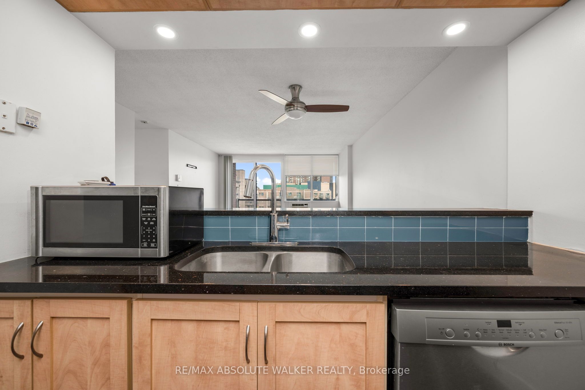 154 Nelson Street 902, Lower Town - Sandy Hill, ON K1N 7R5 photo 5