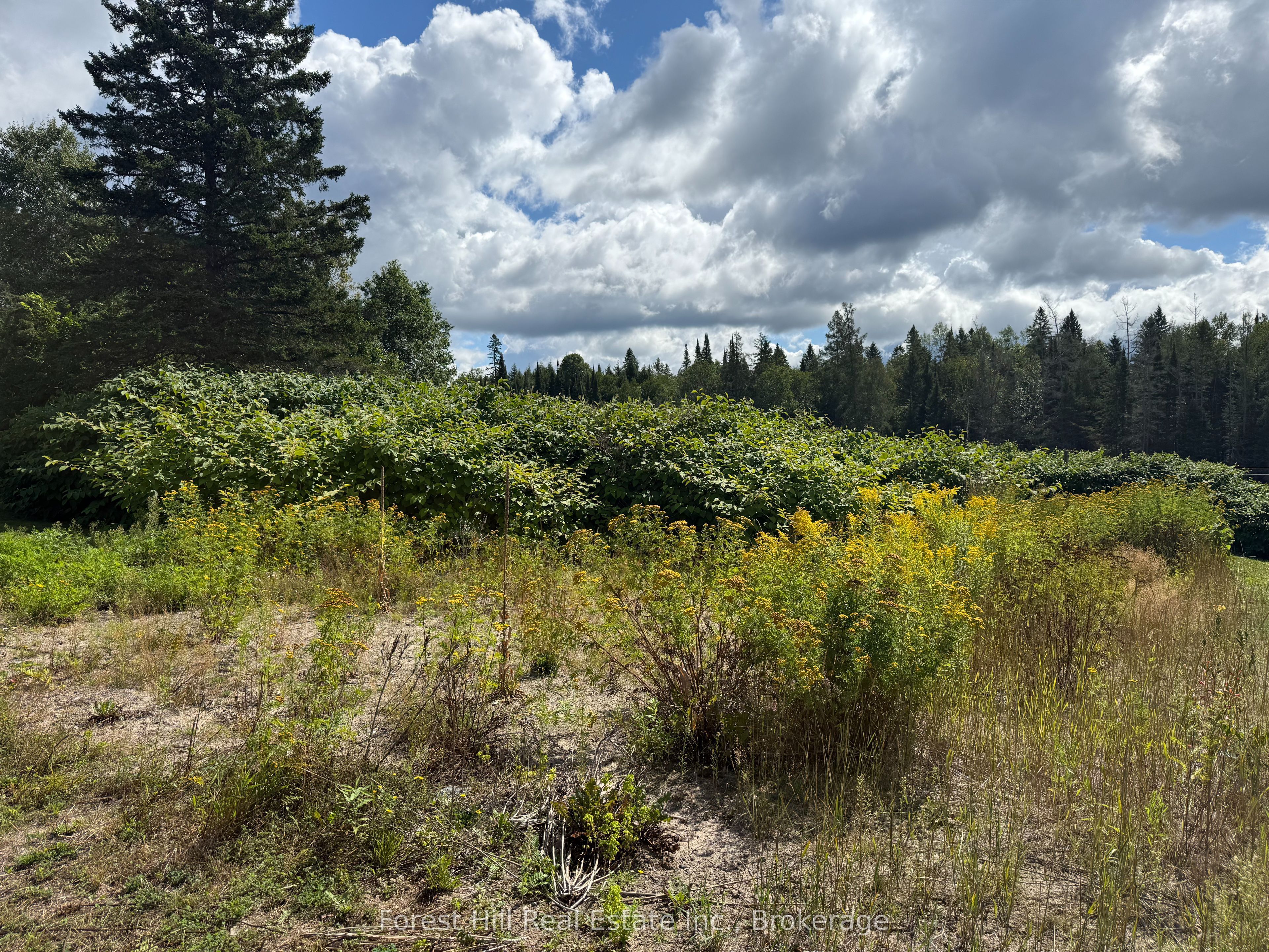 14 Rupert Road, Parry Sound Remote Area, ON P0H 1A0 photo 3