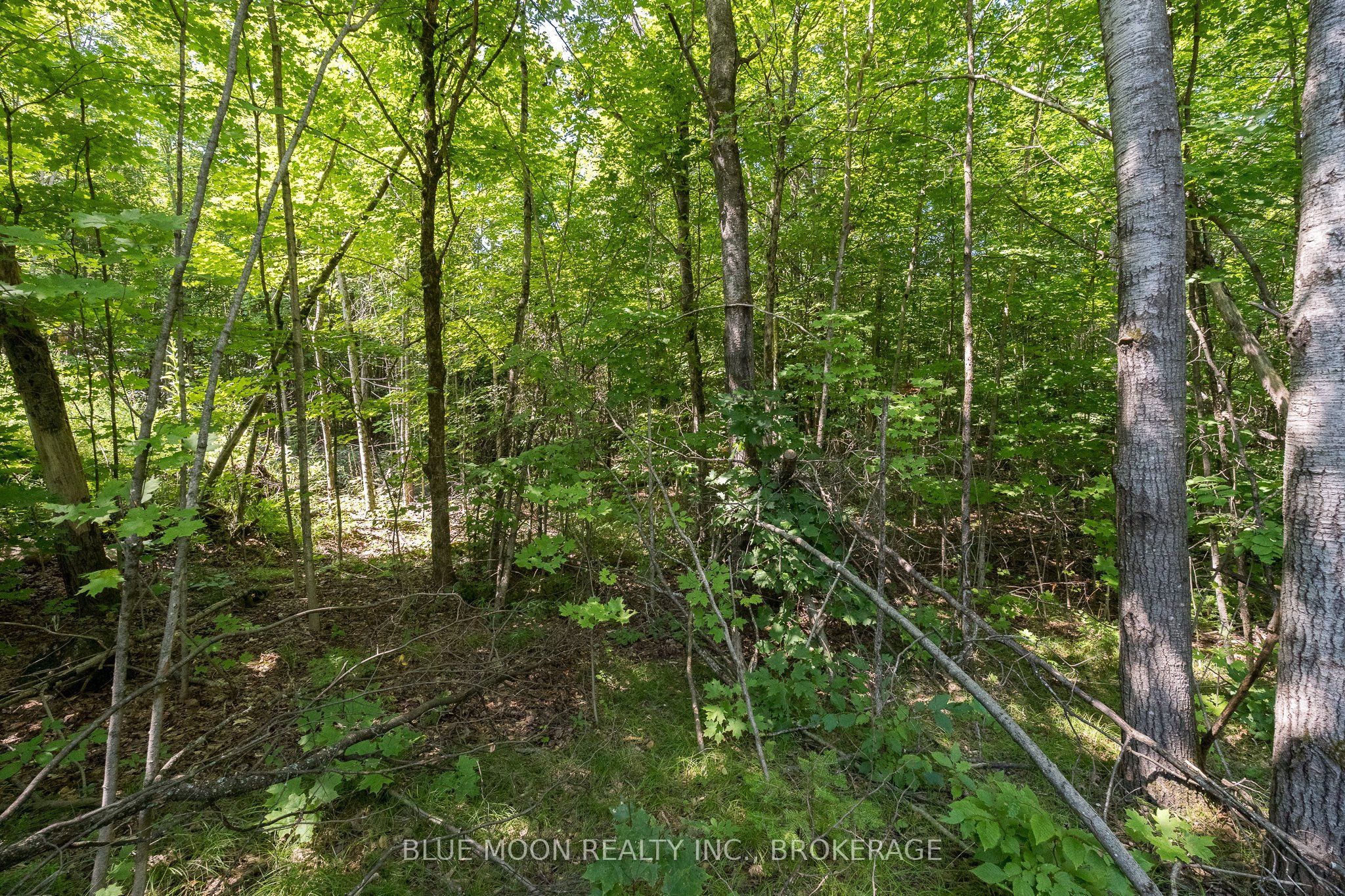 1531 Myers Cave Road, Frontenac, ON K0H 1B0 photo 2