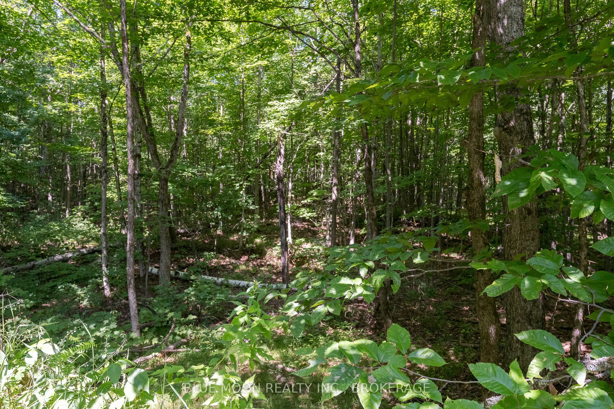 1531 Myers Cave Road, Frontenac, ON K0H 1B0 photo 3
