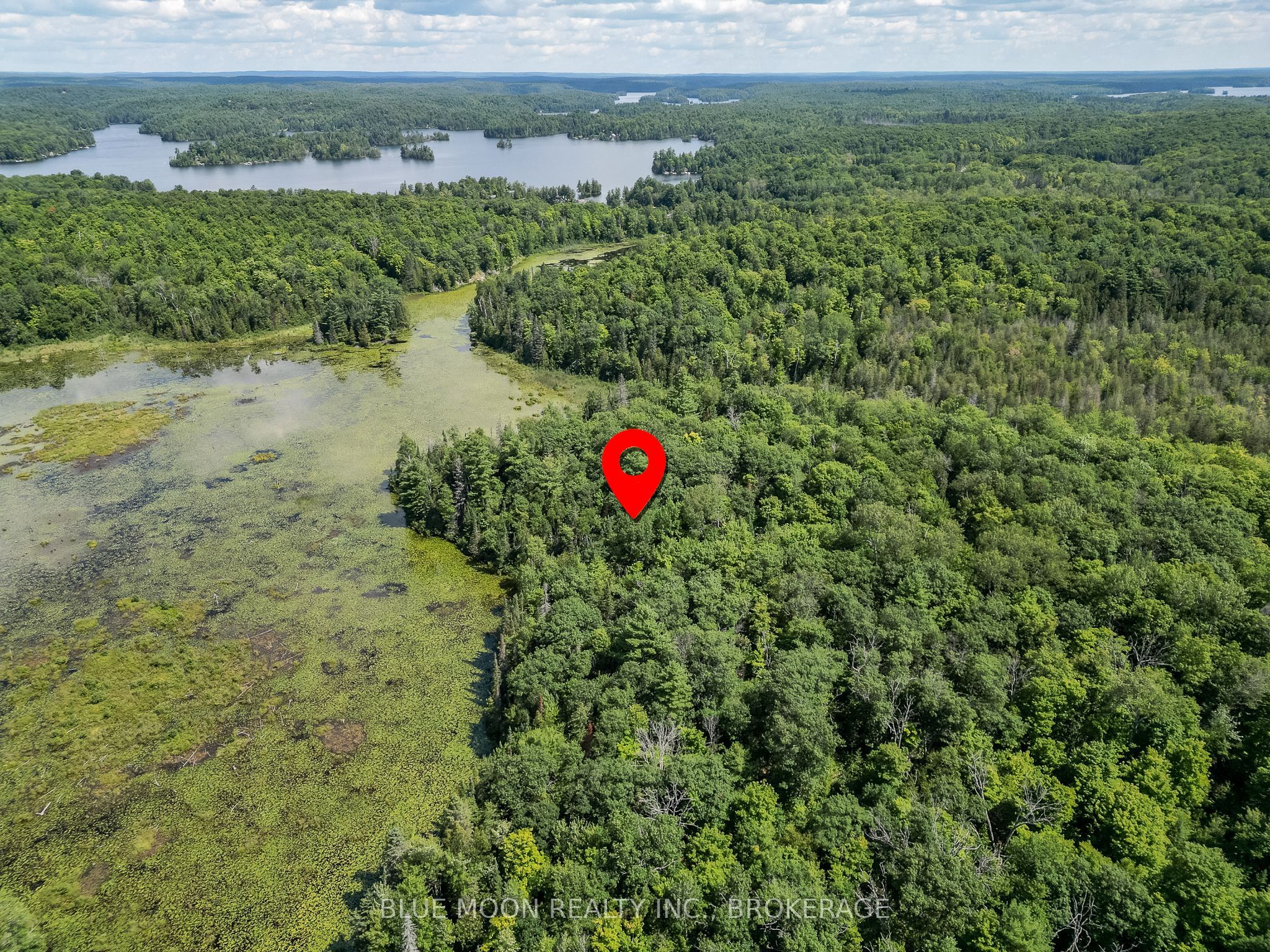 1531 Myers Cave Road, Frontenac, ON K0H 1B0 photo 5
