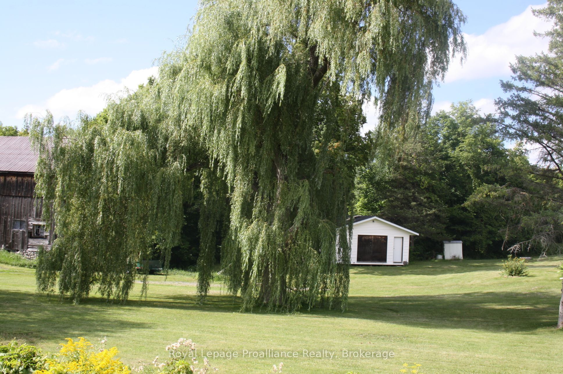 47 Shannon Road, Belleville, ON K0K 2V0 photo 3