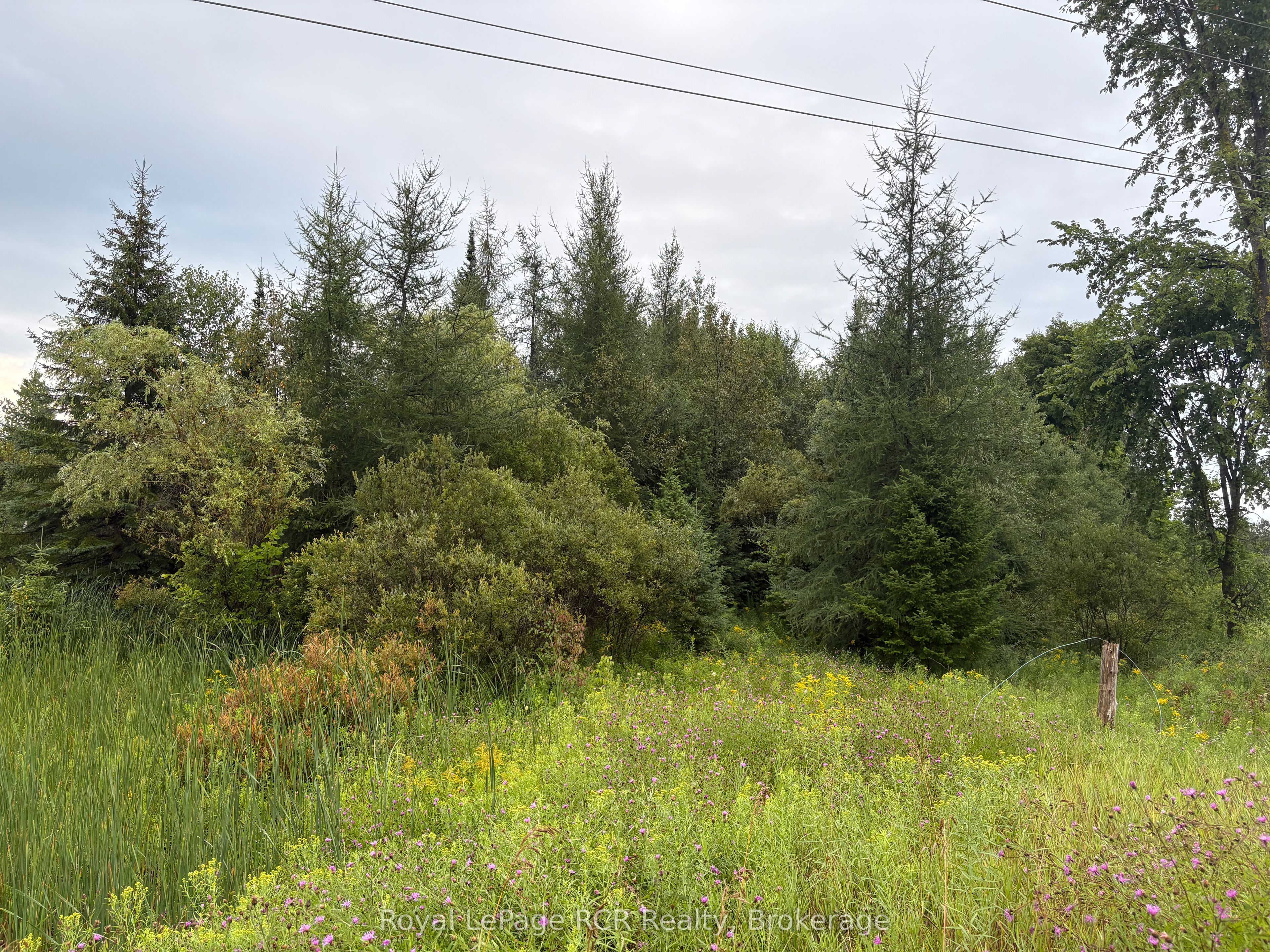 PT LT 13 Grey Road 4, Grey Highlands, ON N0C 1K0 photo 2