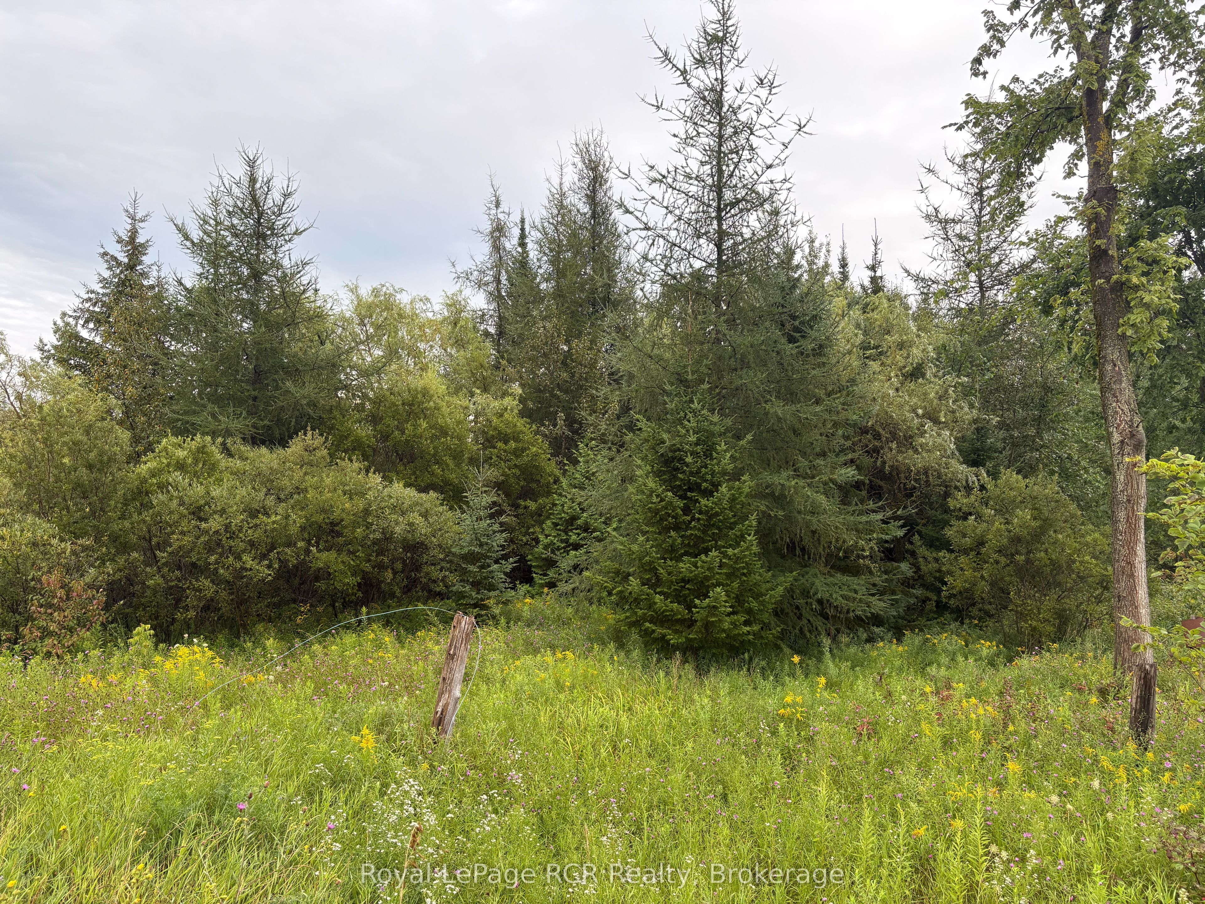 PT LT 13 Grey Road 4, Grey Highlands, ON N0C 1K0 photo 3