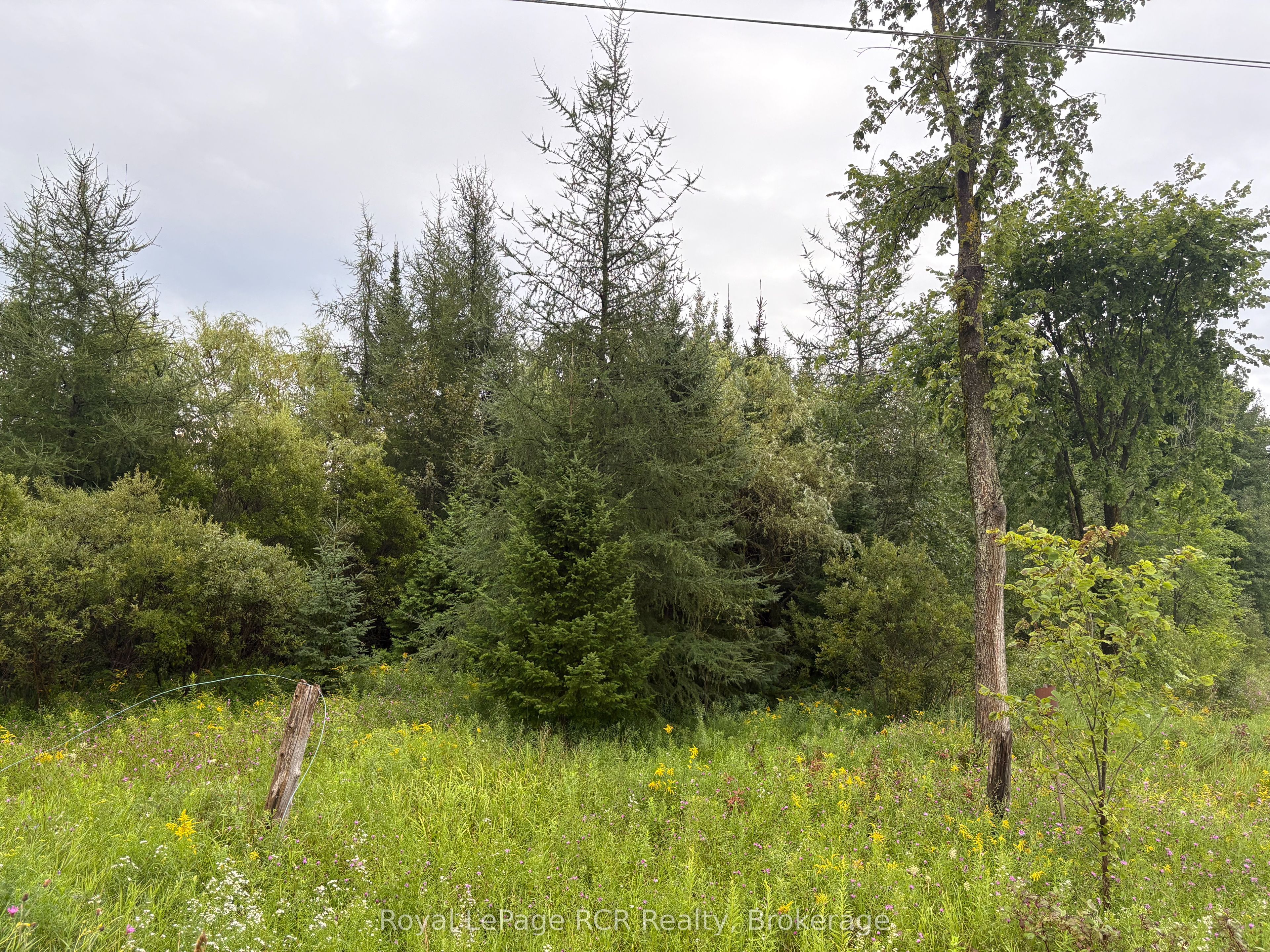 PT LT 13 Grey Road 4, Grey Highlands, ON N0C 1K0 photo 4