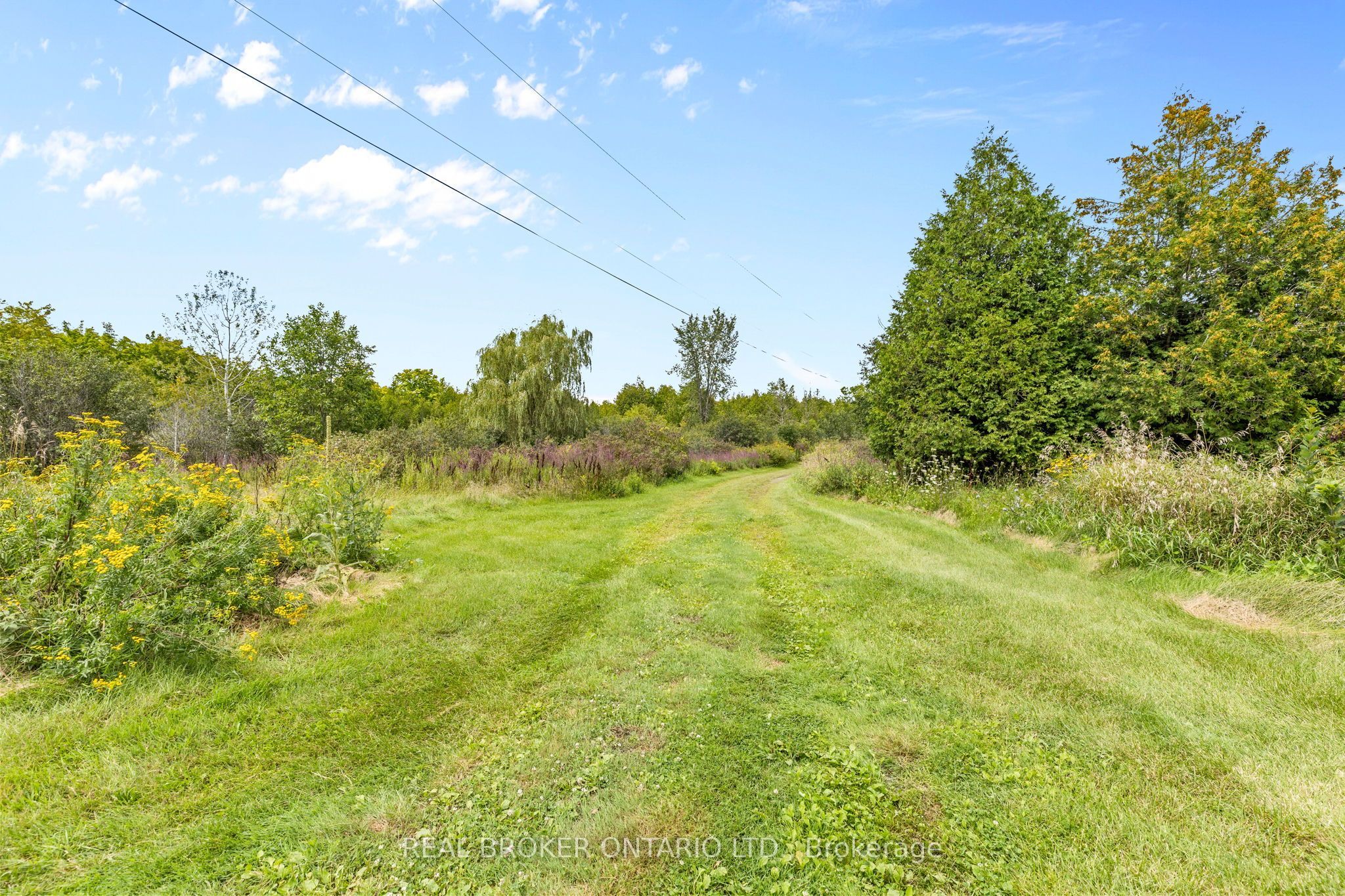 10827 Jellyby Road, Elizabethtown-Kitley, ON K0G 1R0 photo 2