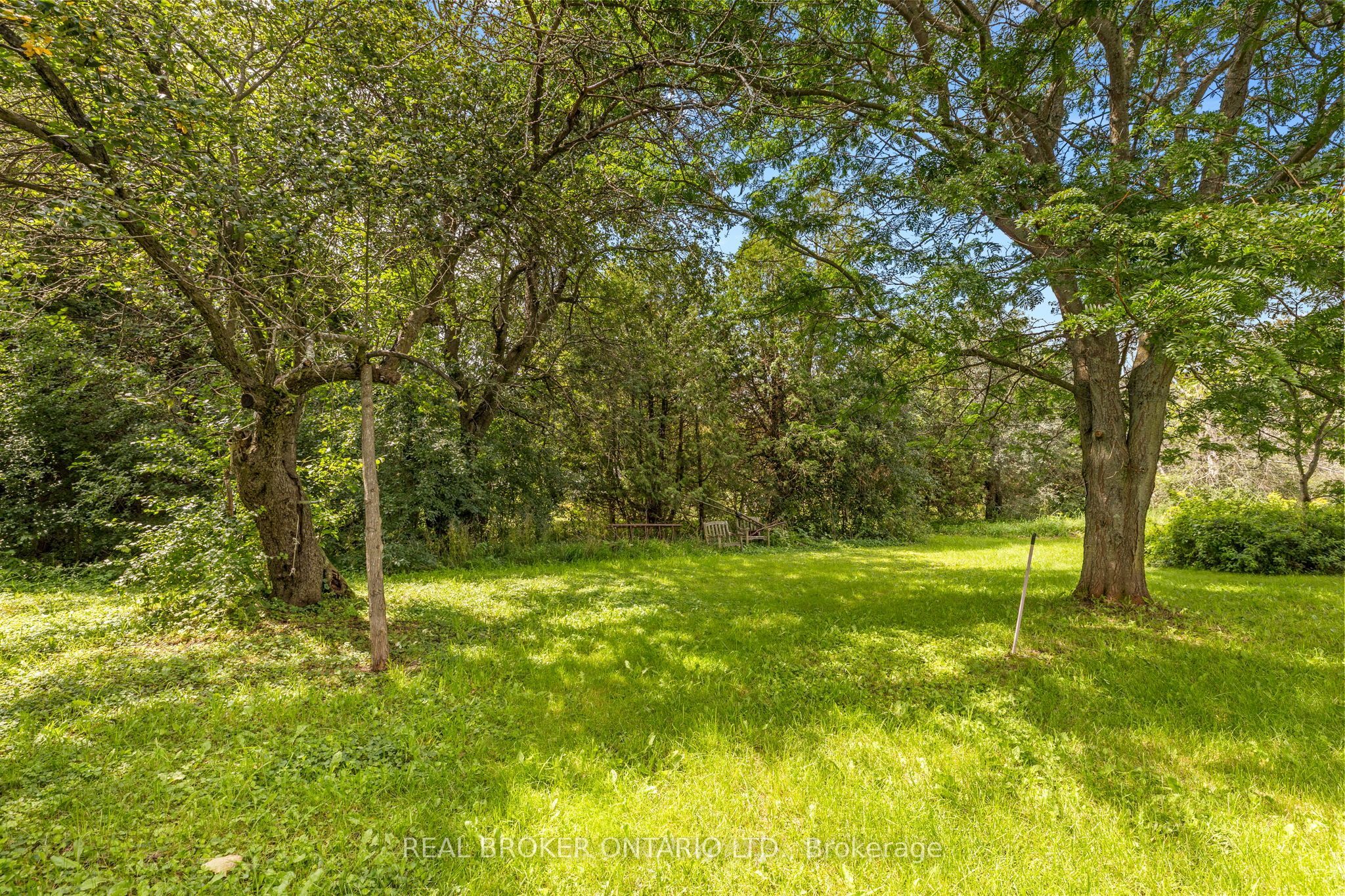 10827 Jellyby Road, Elizabethtown-Kitley, ON K0G 1R0 photo 3