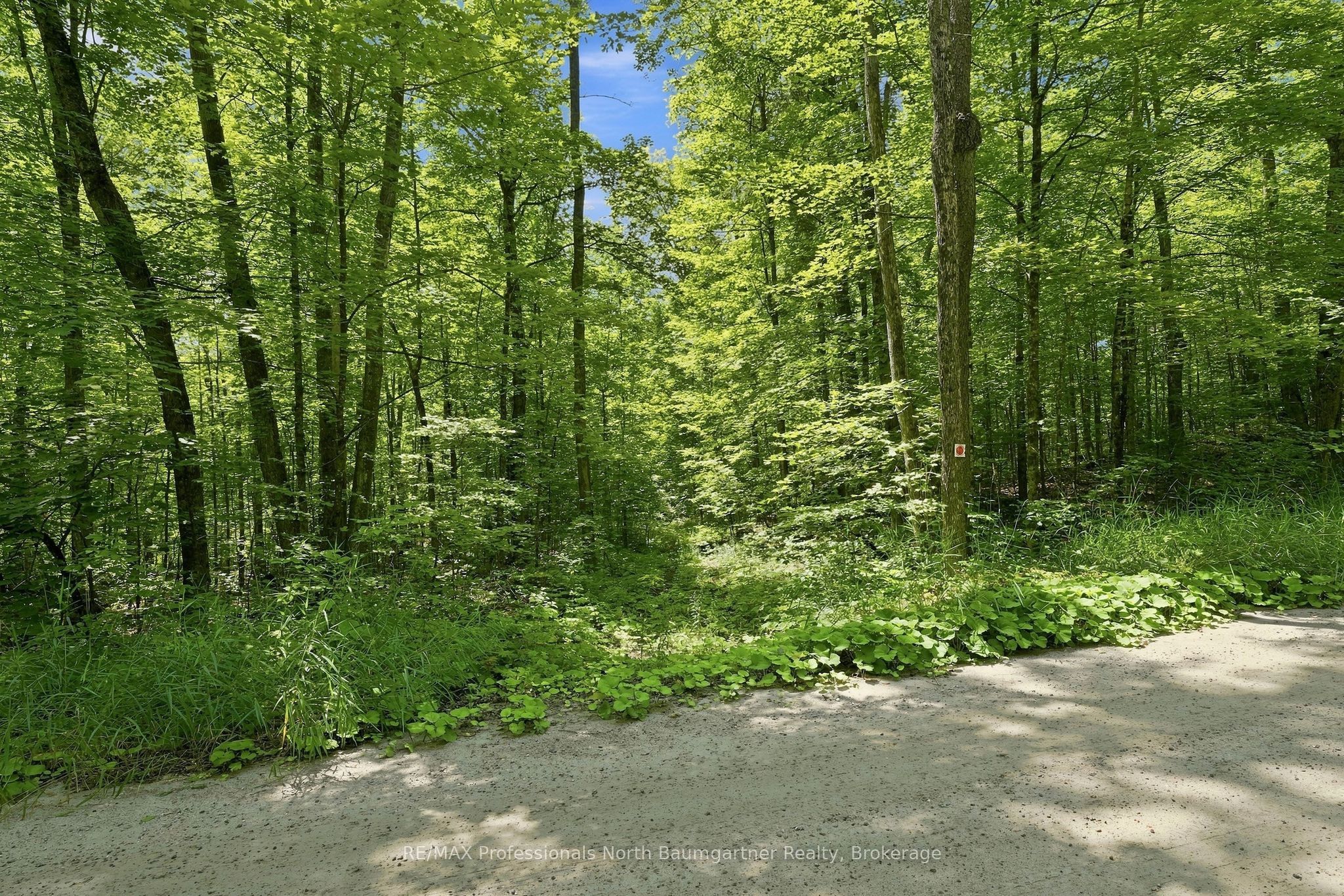 0 Salerno Lake Road, Highlands East, ON K0M 1S0 photo 5