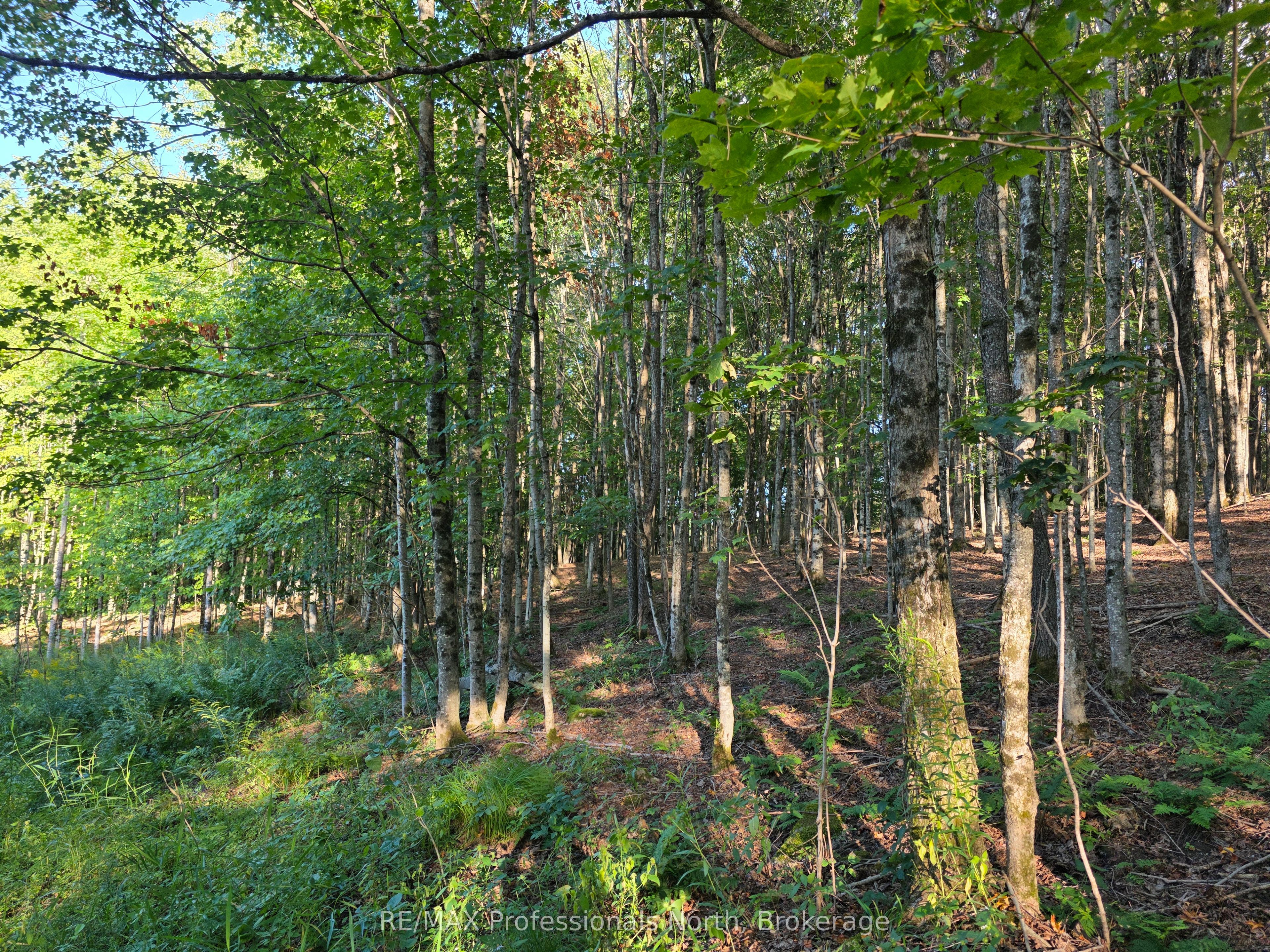 1026 Puffer Road, Minden Hills, ON K0M 2K0 photo 3