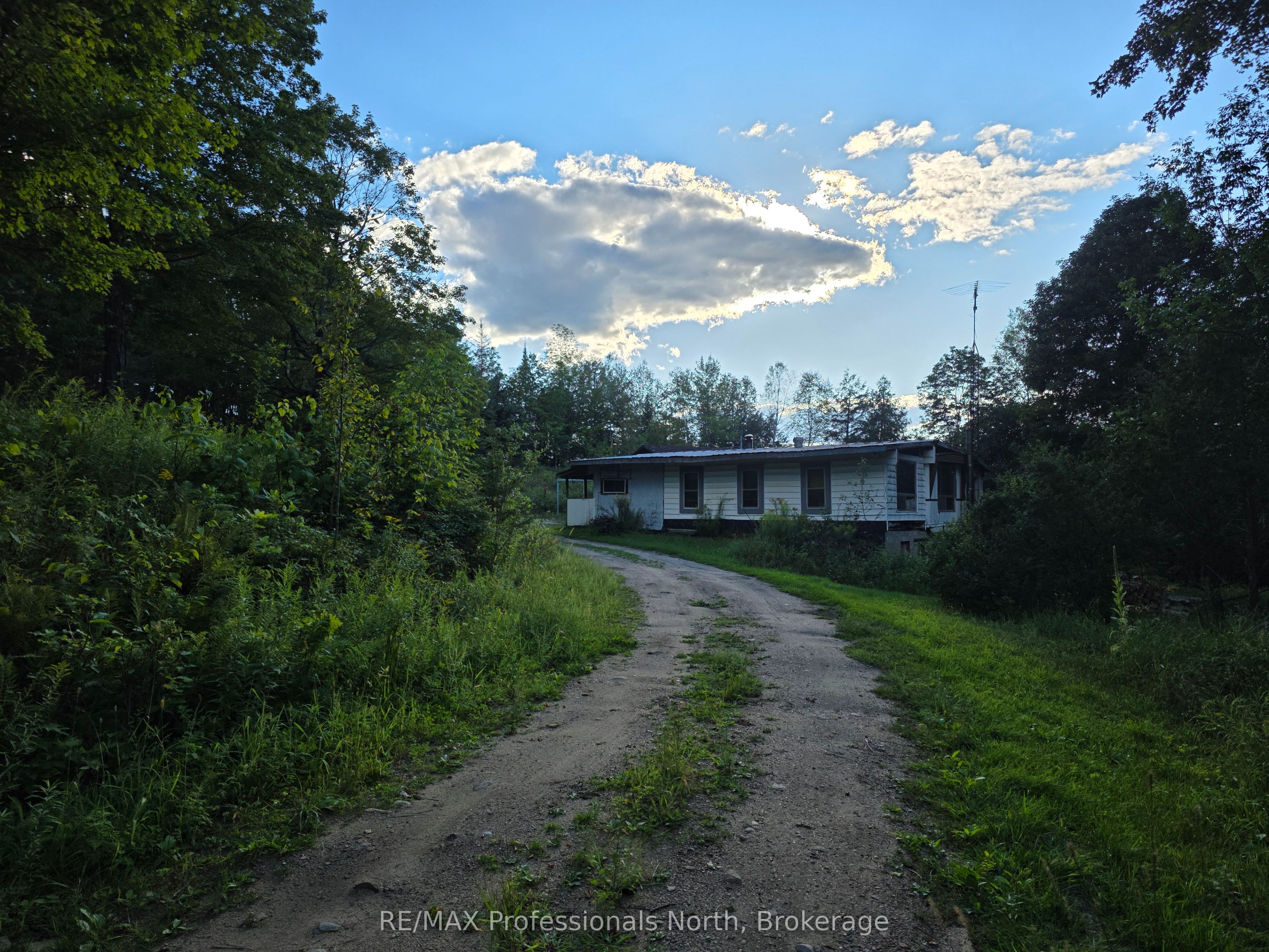 1026 Puffer Road, Minden Hills, ON K0M 2K0 photo 5