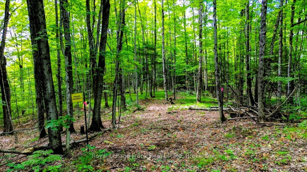 0 North Rusaw Road, North Kawartha, ON K0L 1A0 photo 2