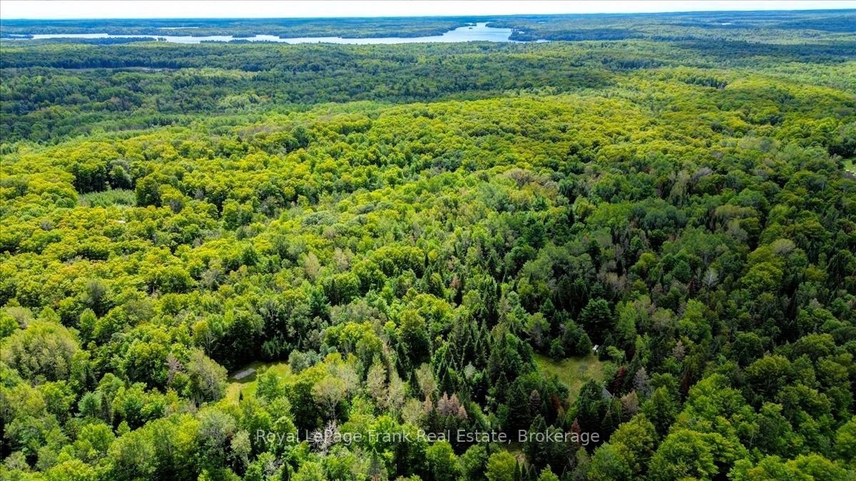0 North Rusaw Road, North Kawartha, ON K0L 1A0 photo 3
