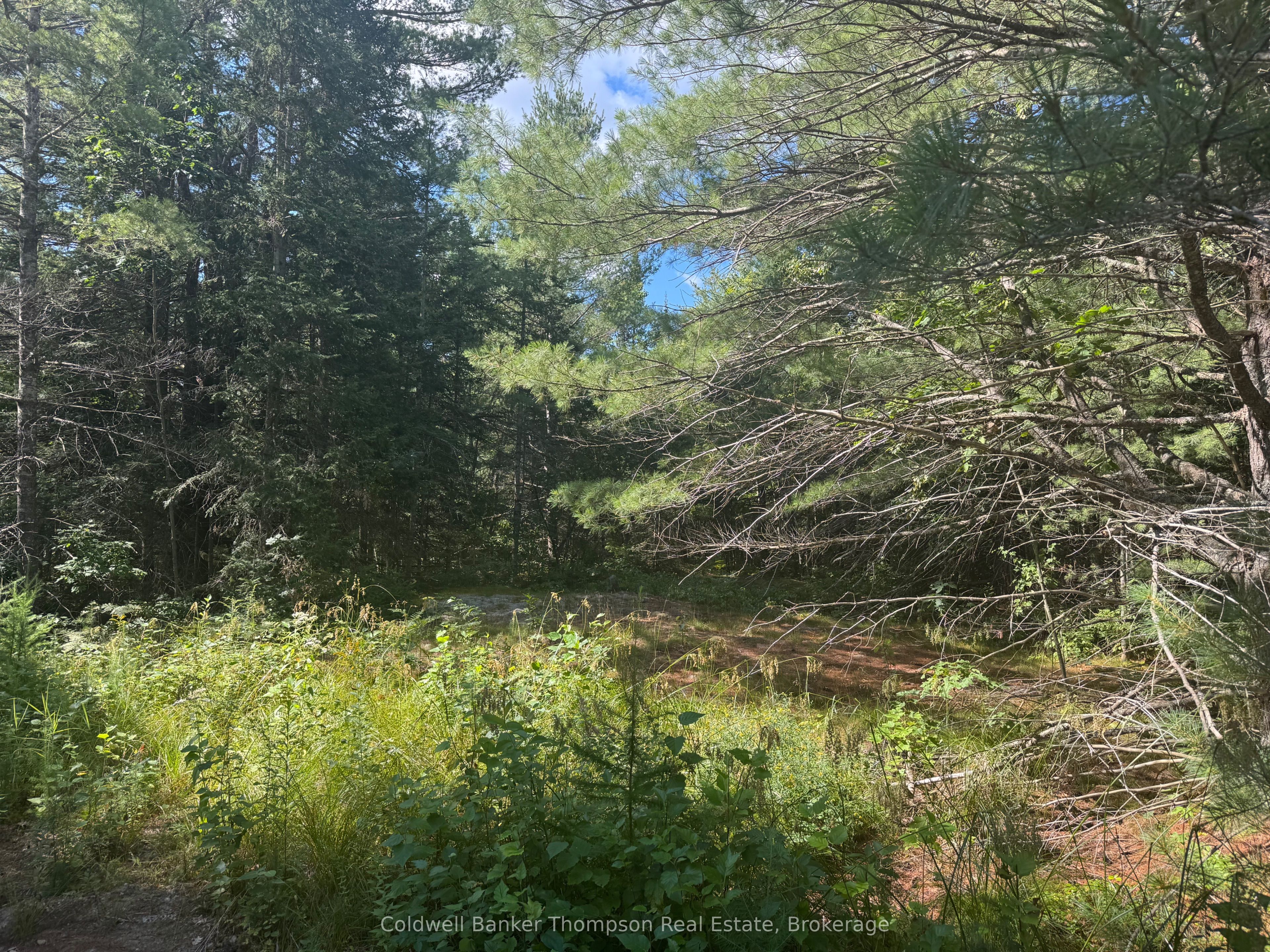 0 0, Magnetawan, ON P0A 1P0