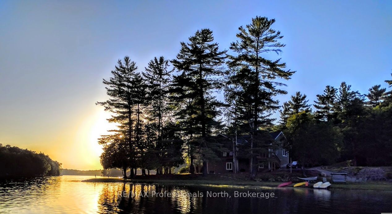 1029 Trio Lane, Highlands East, ON K0M 1R0 photo 2
