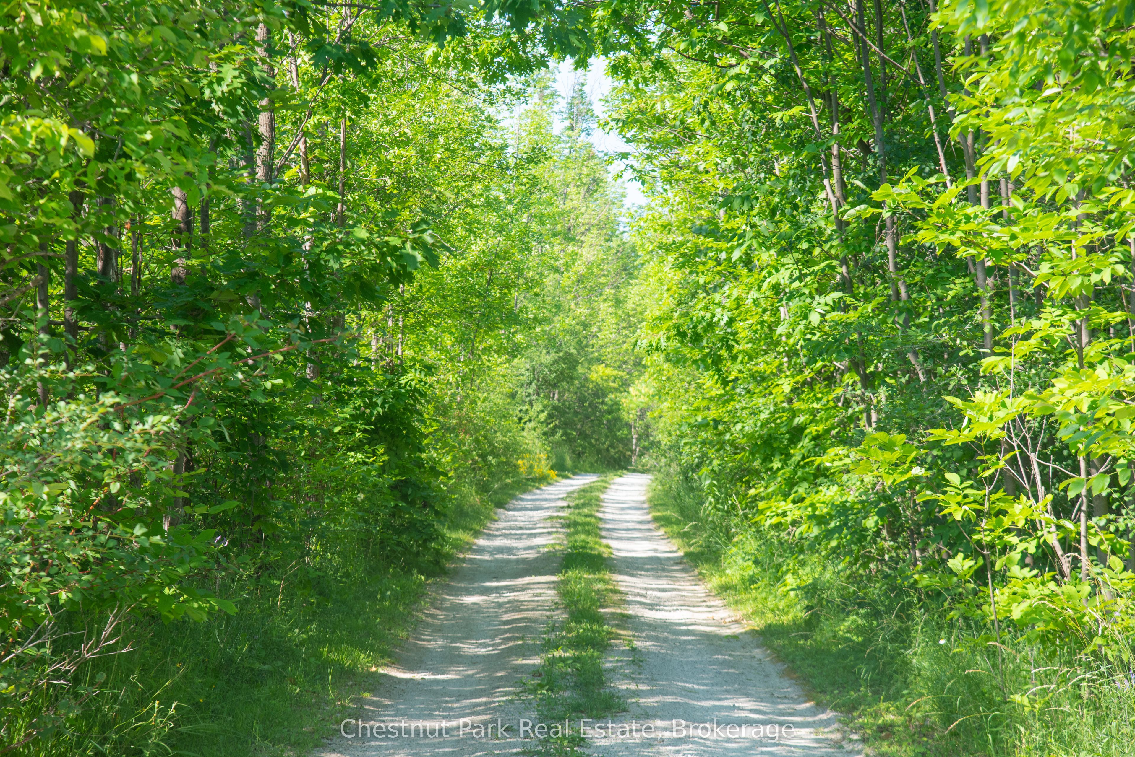 137 39th Side Road, Blue Mountains, ON N0H 2P0 photo 2
