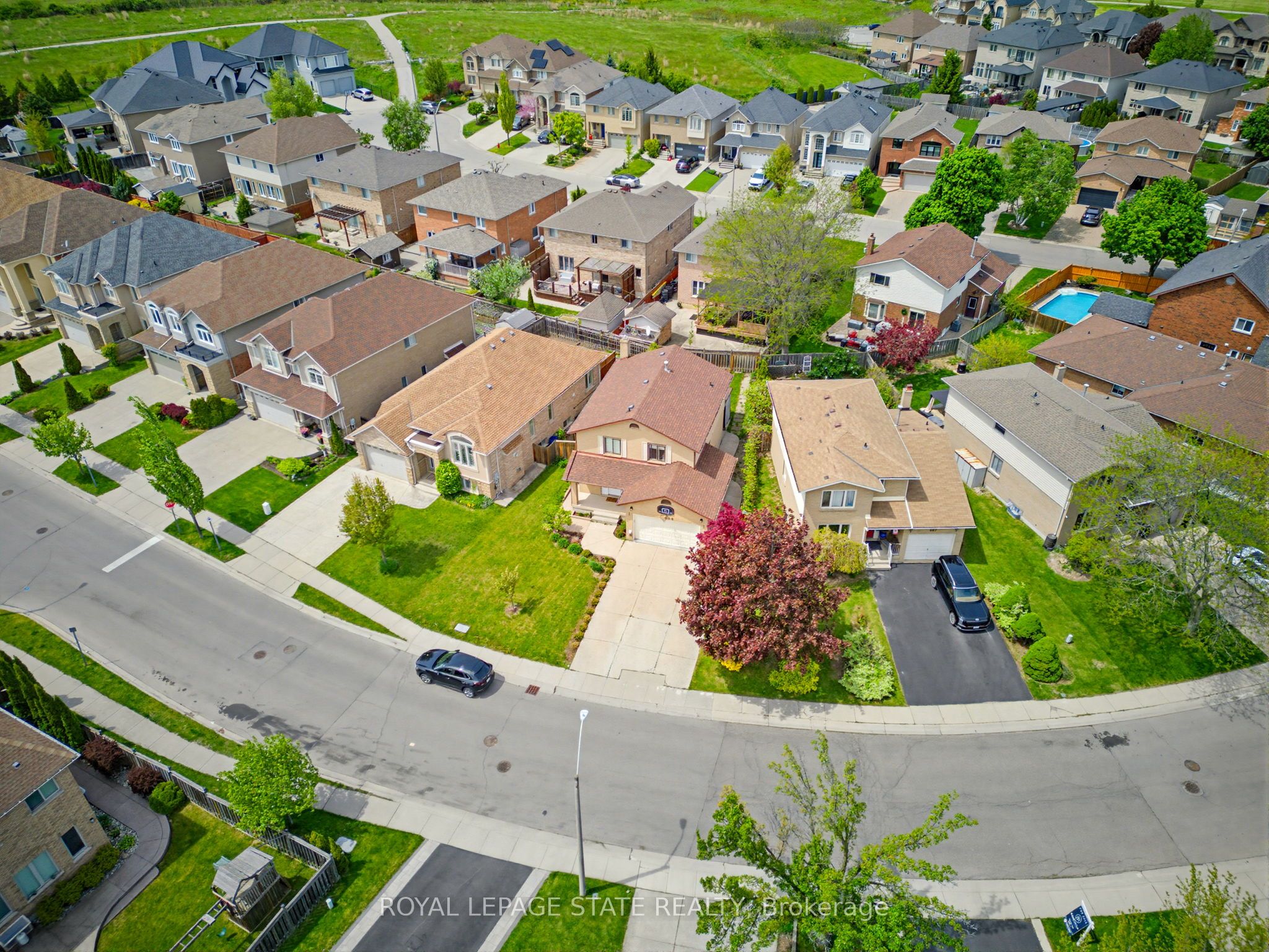 459 Dicenzo Drive, Hamilton, ON L9B 2C4 photo 4