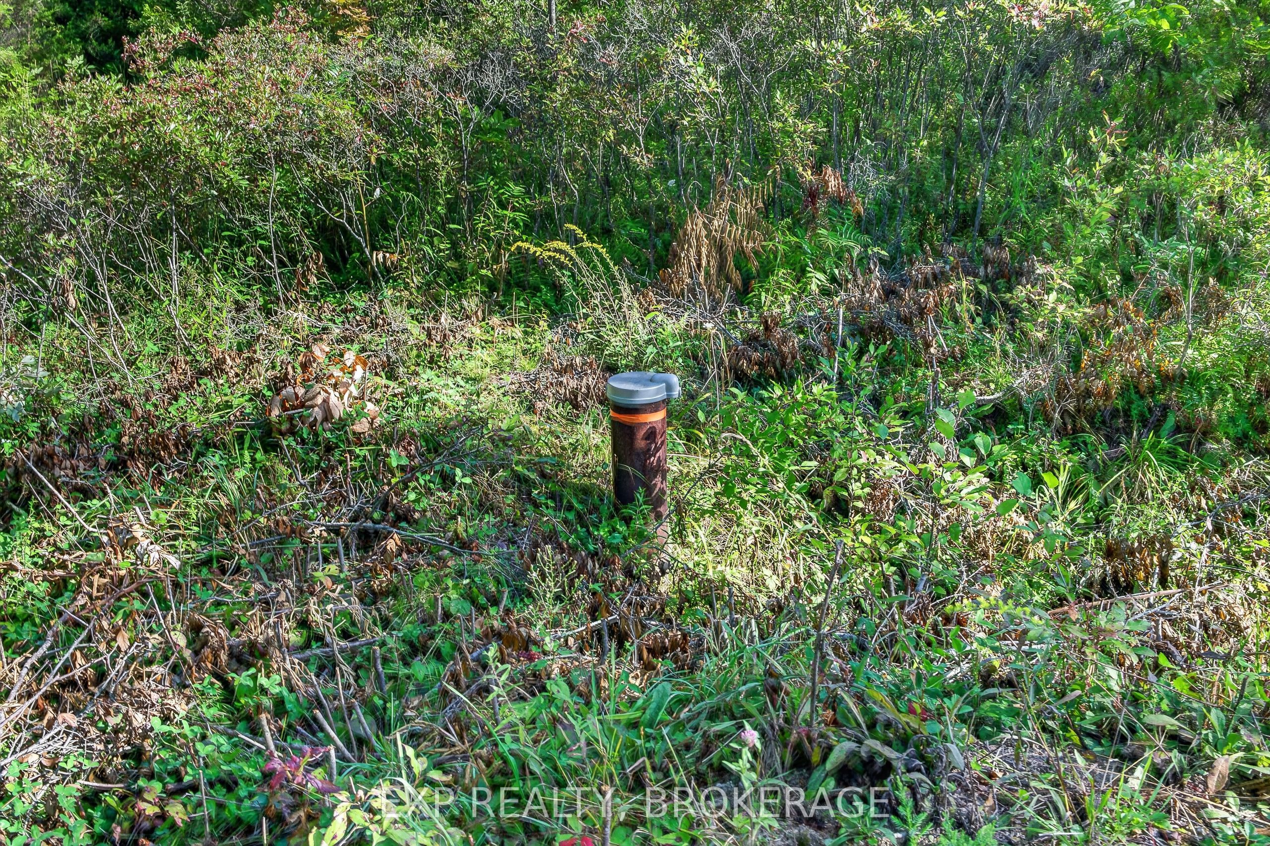PT LT 23 CON 7 PEBBLE Lane S, Frontenac, ON K0H 2L0 photo 3