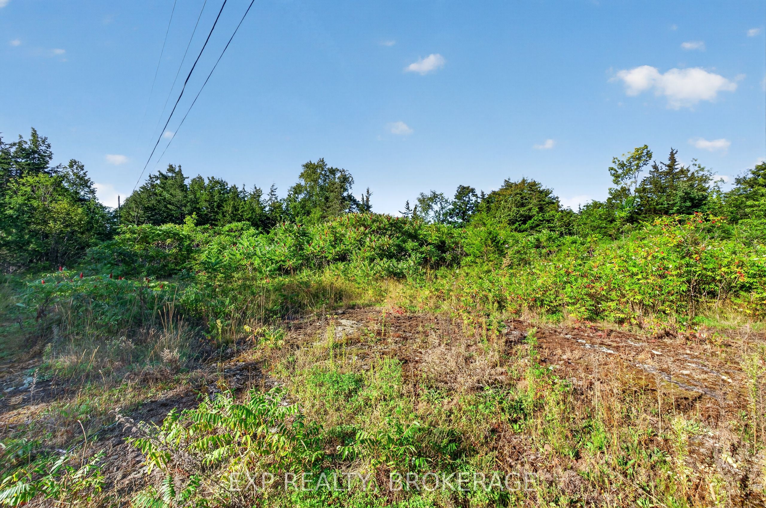 PT LT 23 CON 7 PEBBLE Lane S, Frontenac, ON K0H 2L0 photo 4