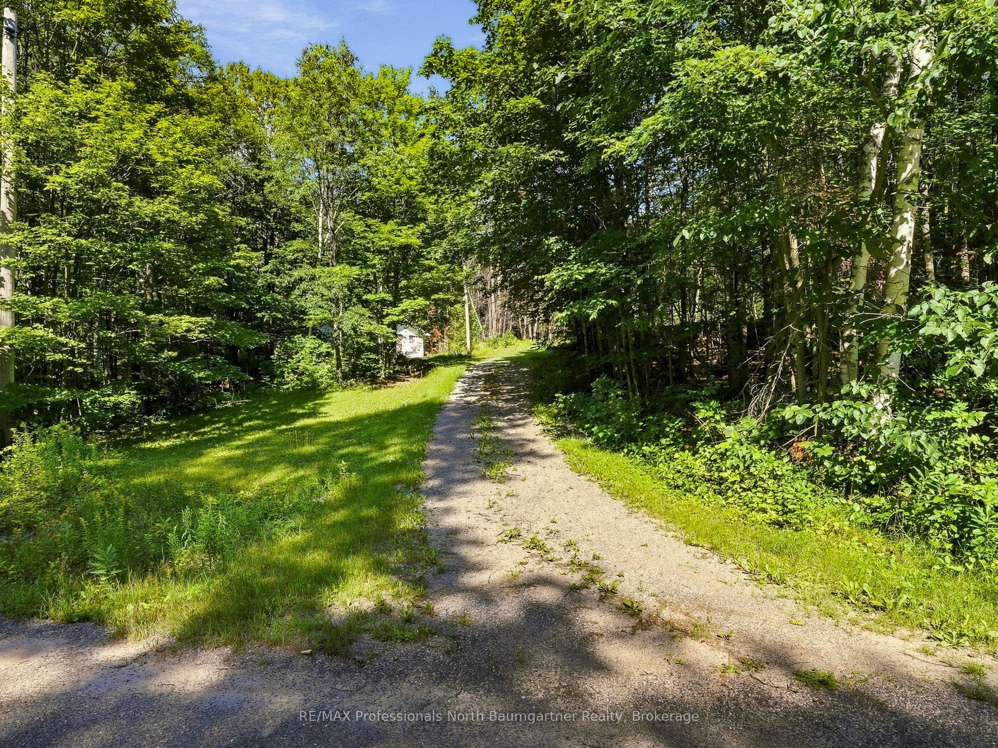 1312 Clement Lake Road, Highlands East, ON K0L 3C0 photo 2
