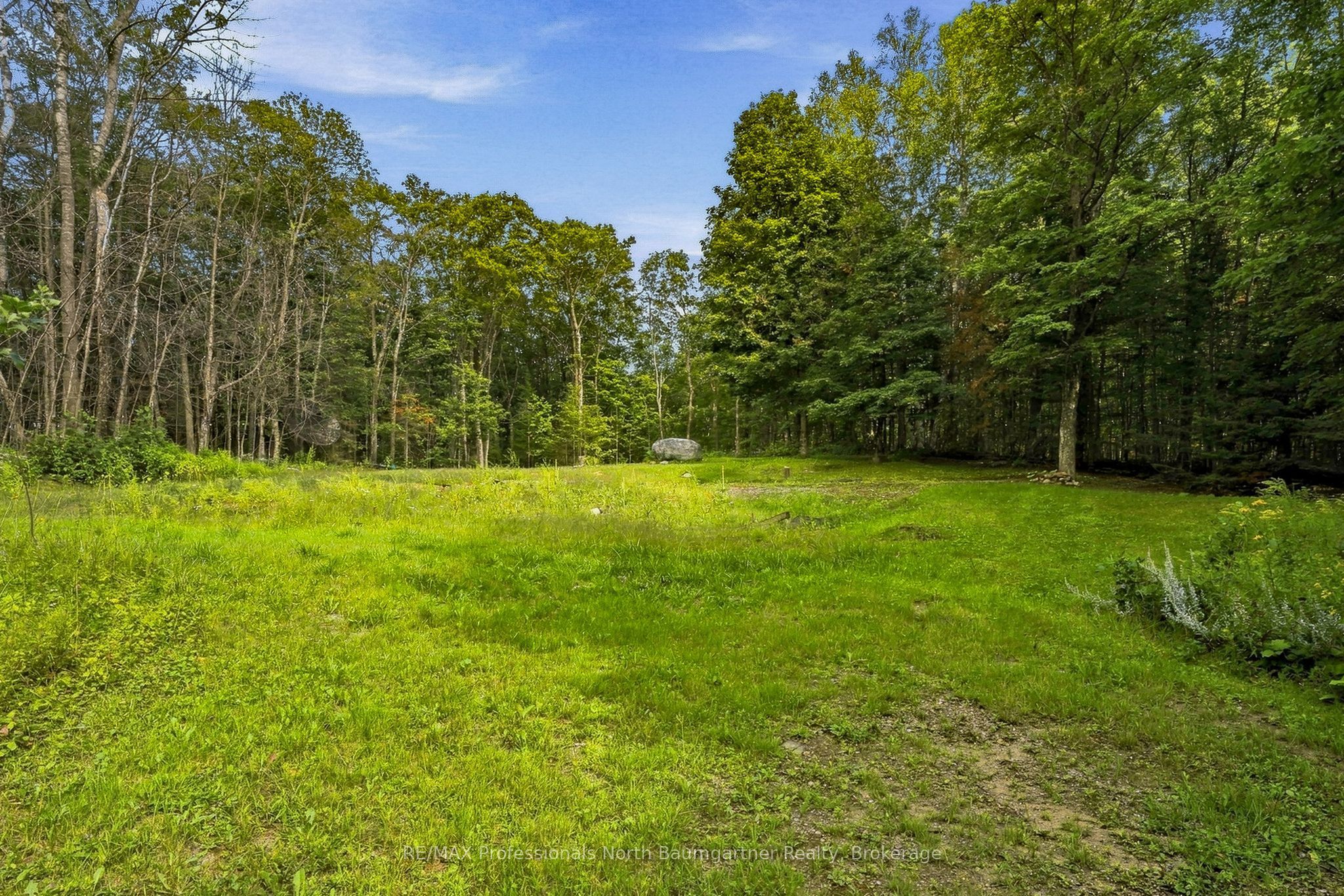 1312 Clement Lake Road, Highlands East, ON K0L 3C0 photo 3