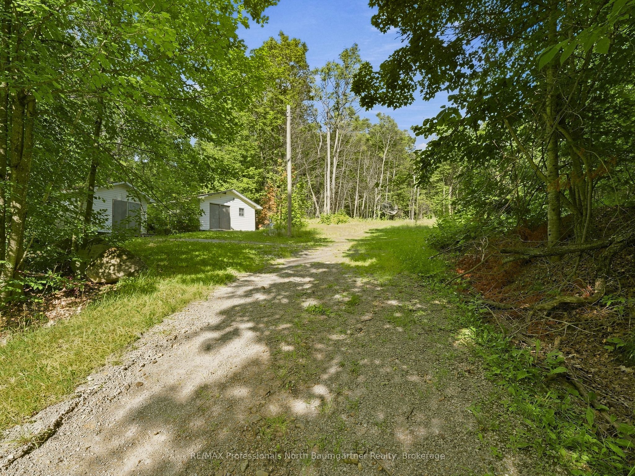 1312 Clement Lake Road, Highlands East, ON K0L 3C0 photo 4