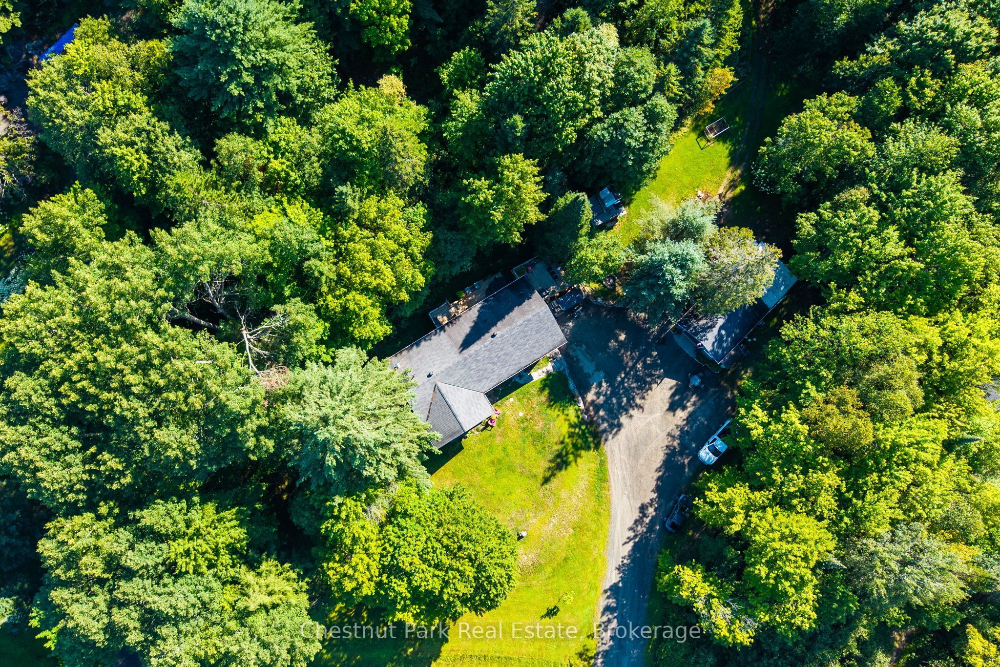 521 Old Muskoka Road, Huntsville, ON P1H 0G8 photo 4